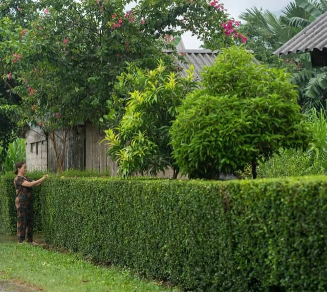 Quảng Bình: Nông thôn mới đẹp như phim ở Làng du lịch tốt nhất thế giới - Ảnh 5.