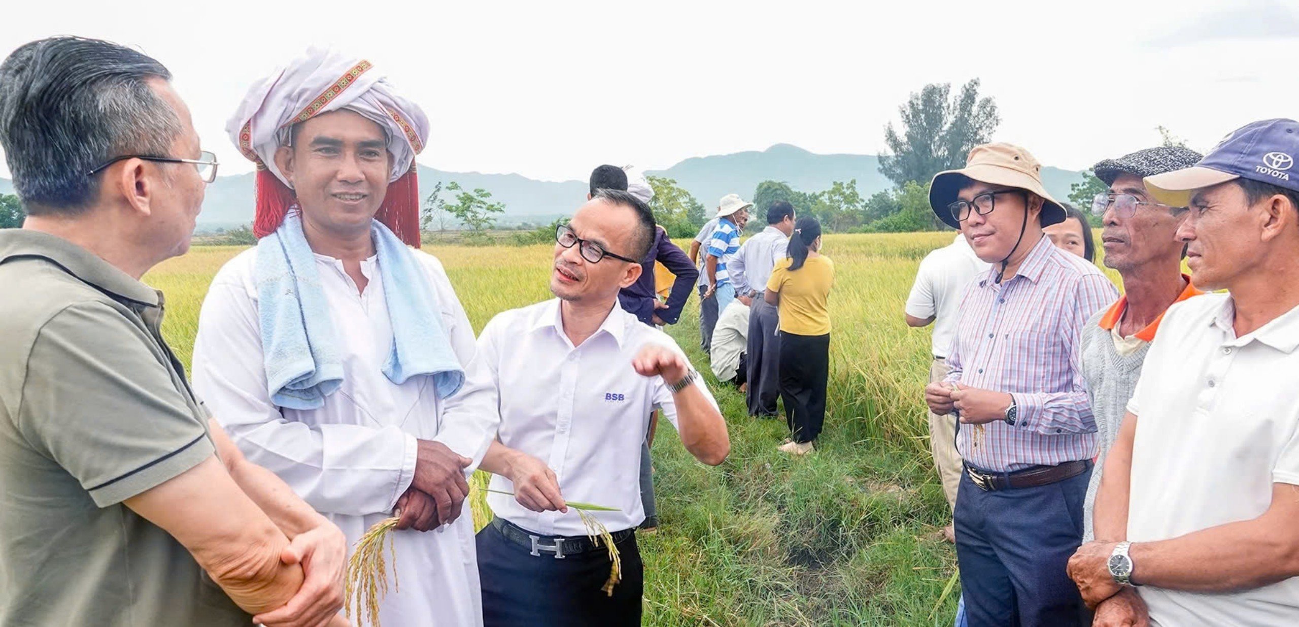 Đời sống đồng bào dân tộc thiểu số miền núi tỉnh Bình Thuận thay đổi nhờ chuyển đổi số - Ảnh 4.