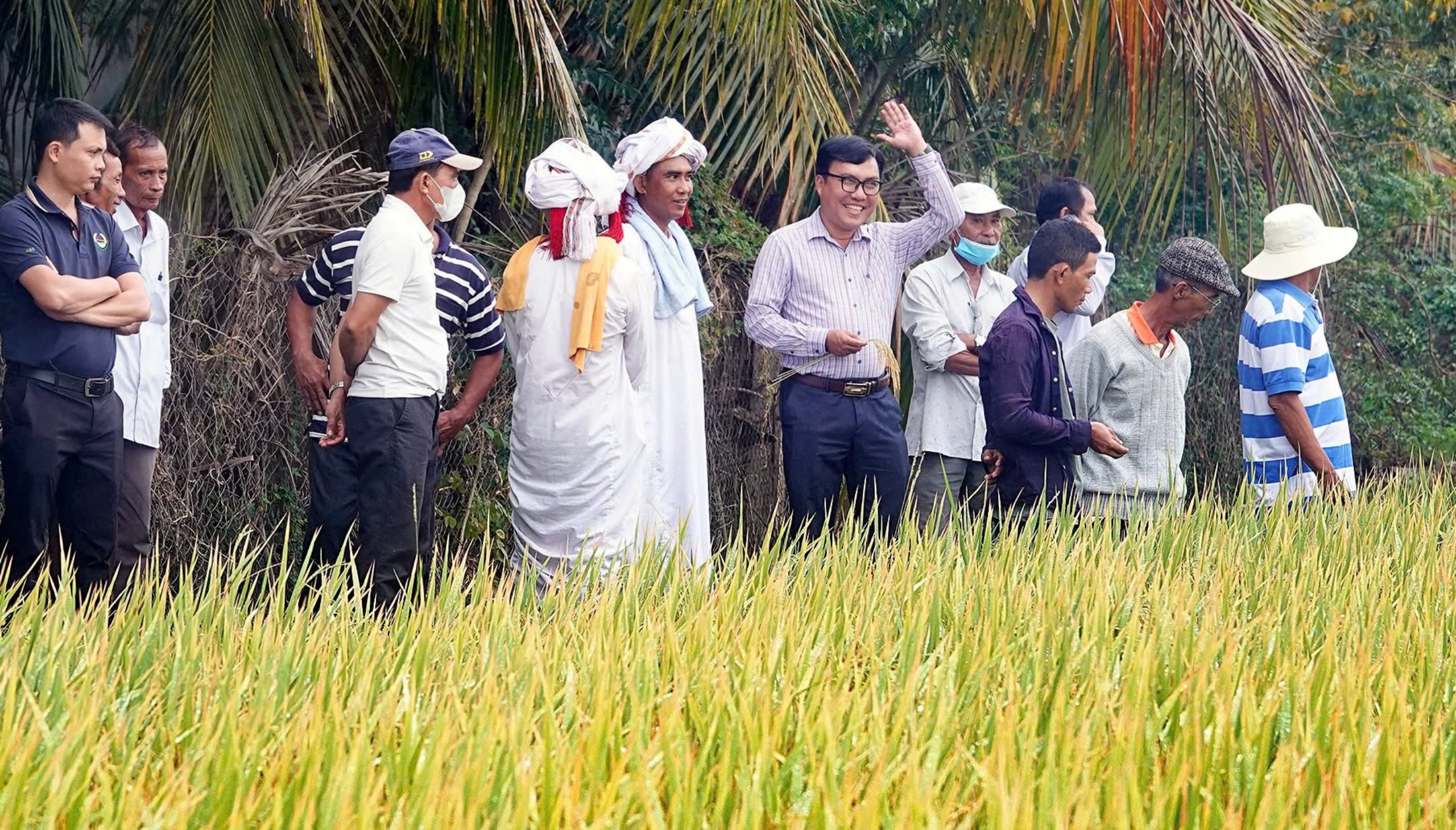 Đời sống đồng bào dân tộc thiểu số miền núi tỉnh Bình Thuận thay đổi nhờ chuyển đổi số - Ảnh 1.