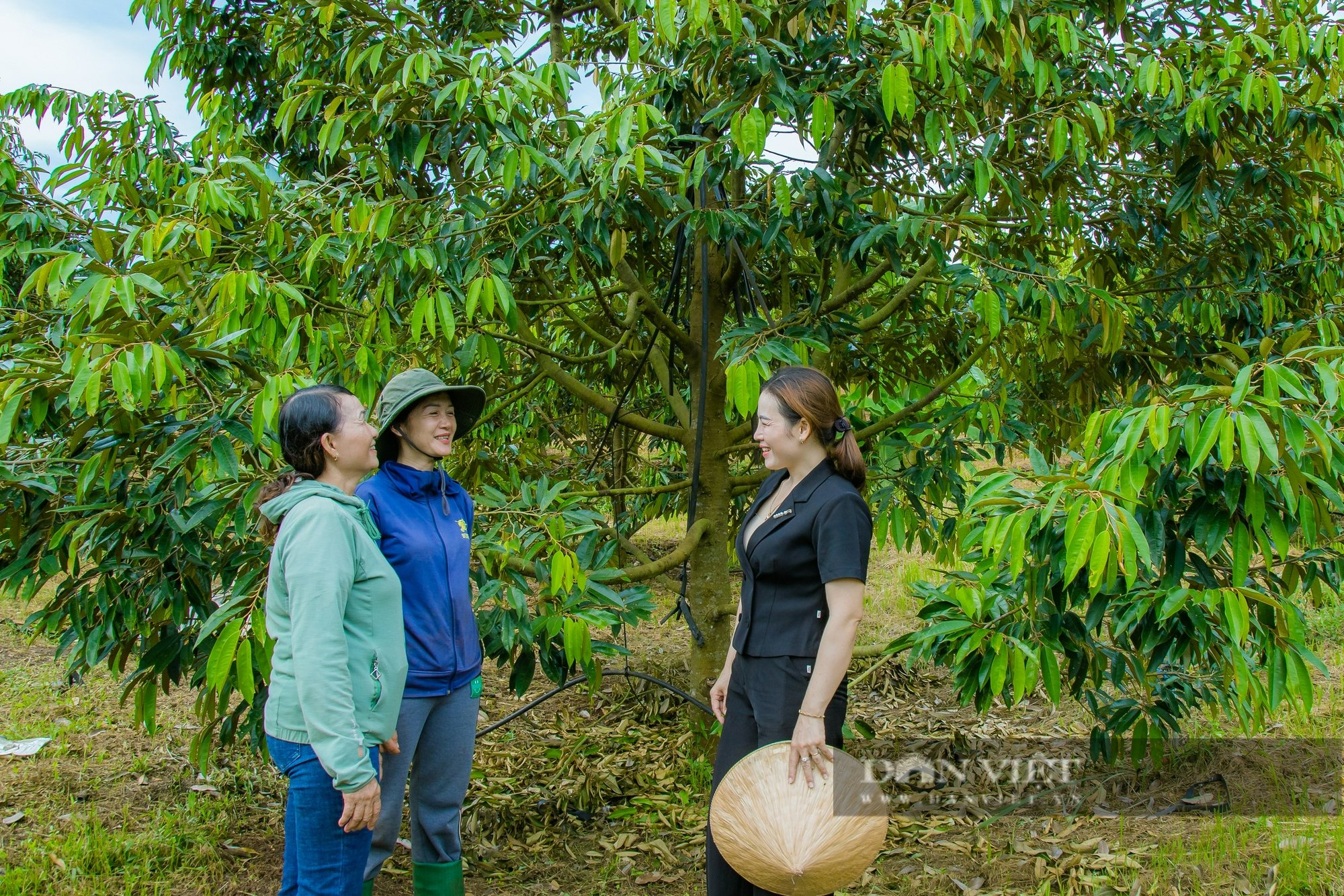 Chủ tịch Hội Nông dân xã ở Đắk Lắk xây dựng mô hình giúp hàng trăm nông dân làm giàu - Ảnh 1.