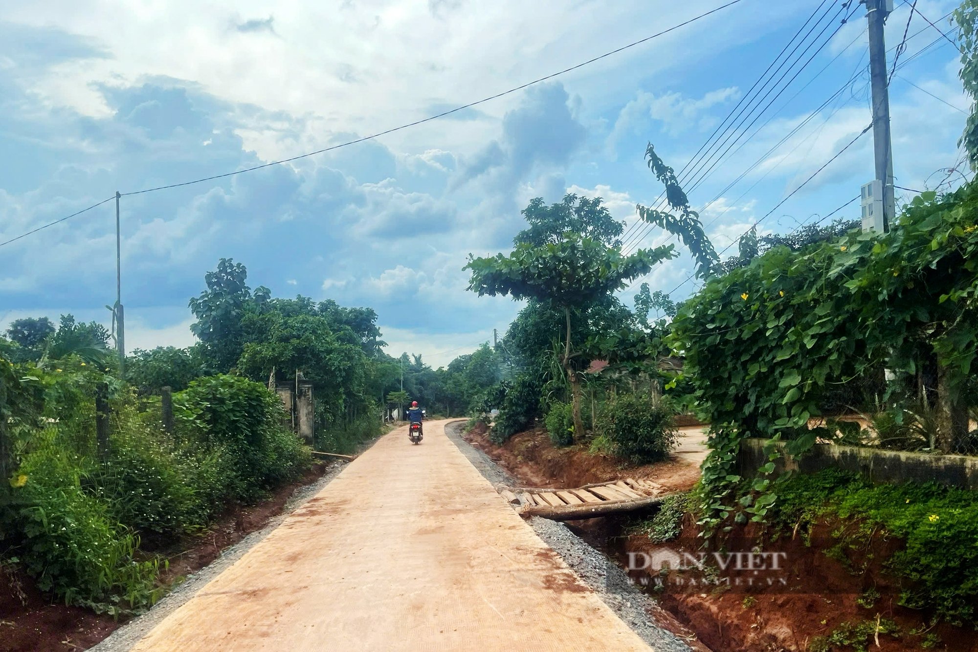 Chủ tịch Hội Nông dân xã ở Đắk Lắk xây dựng mô hình giúp hàng trăm nông dân làm giàu - Ảnh 6.
