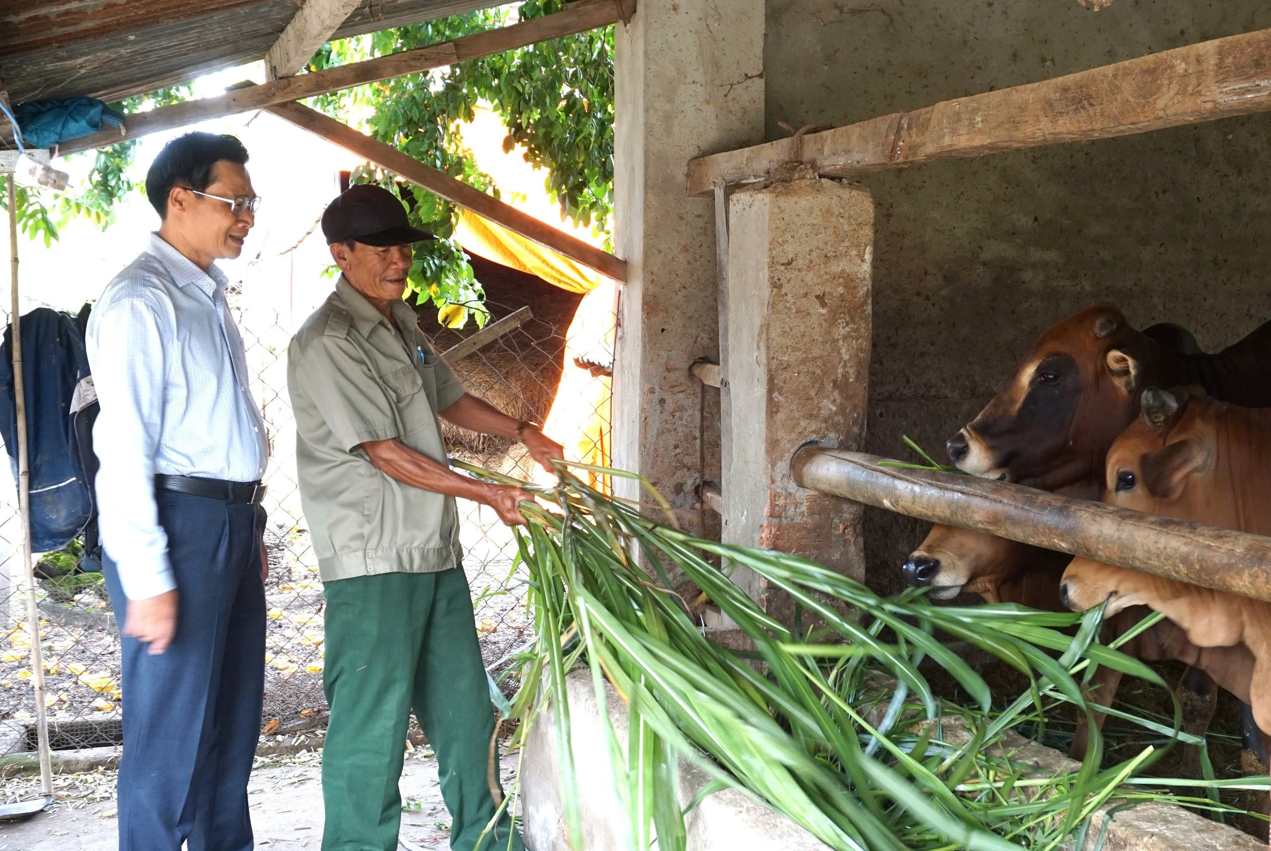 Cách một huyện vùng sâu của Đắk Lắk "tiếp sức" người dân cải thiện sinh kế, giảm nghèo bền vững - Ảnh 1.