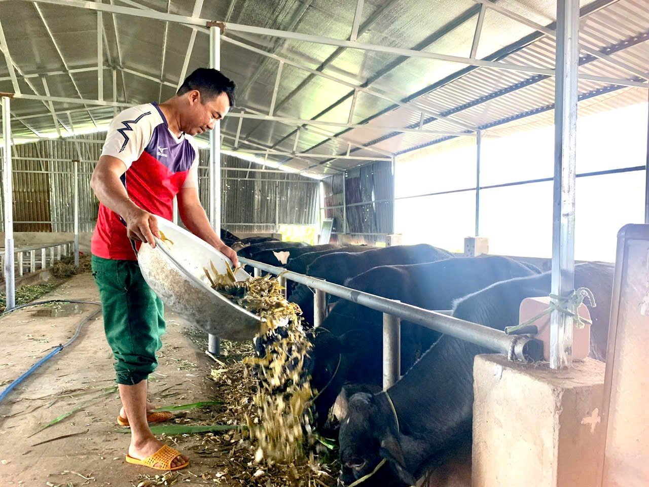 Cách một huyện vùng sâu của Đắk Lắk "tiếp sức" người dân cải thiện sinh kế, giảm nghèo bền vững - Ảnh 4.