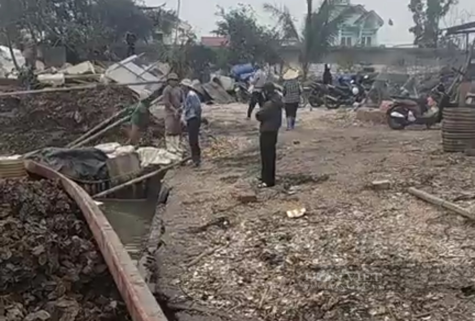 Vụ tranh chấp bè hàu tại Quảng Ninh: Người nuôi trồng vẫn bị người lạ đến nhận bè của mình- Ảnh 1.