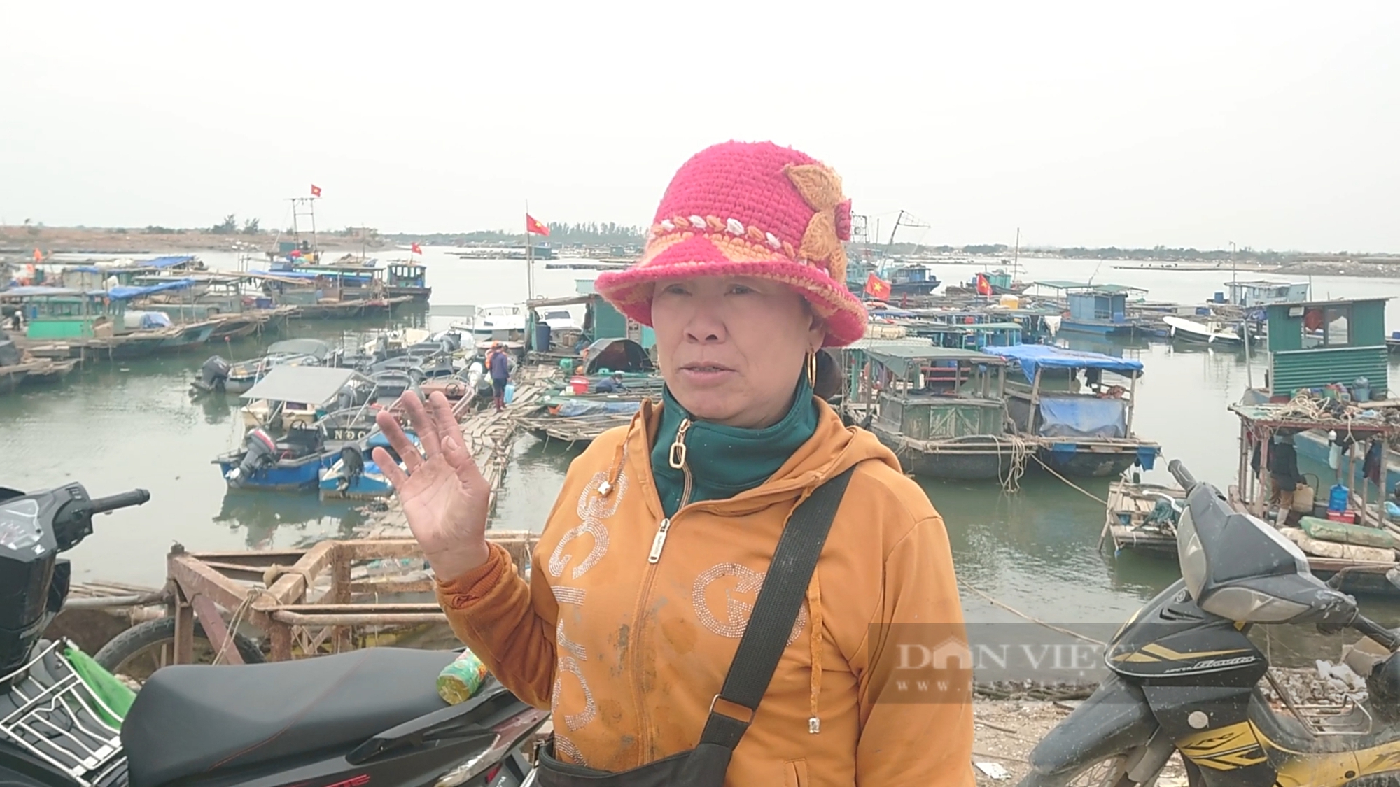 Vụ tranh chấp bè hàu tại Quảng Ninh: Người nuôi trồng vẫn bị người lạ đến nhận bè của mình- Ảnh 2.