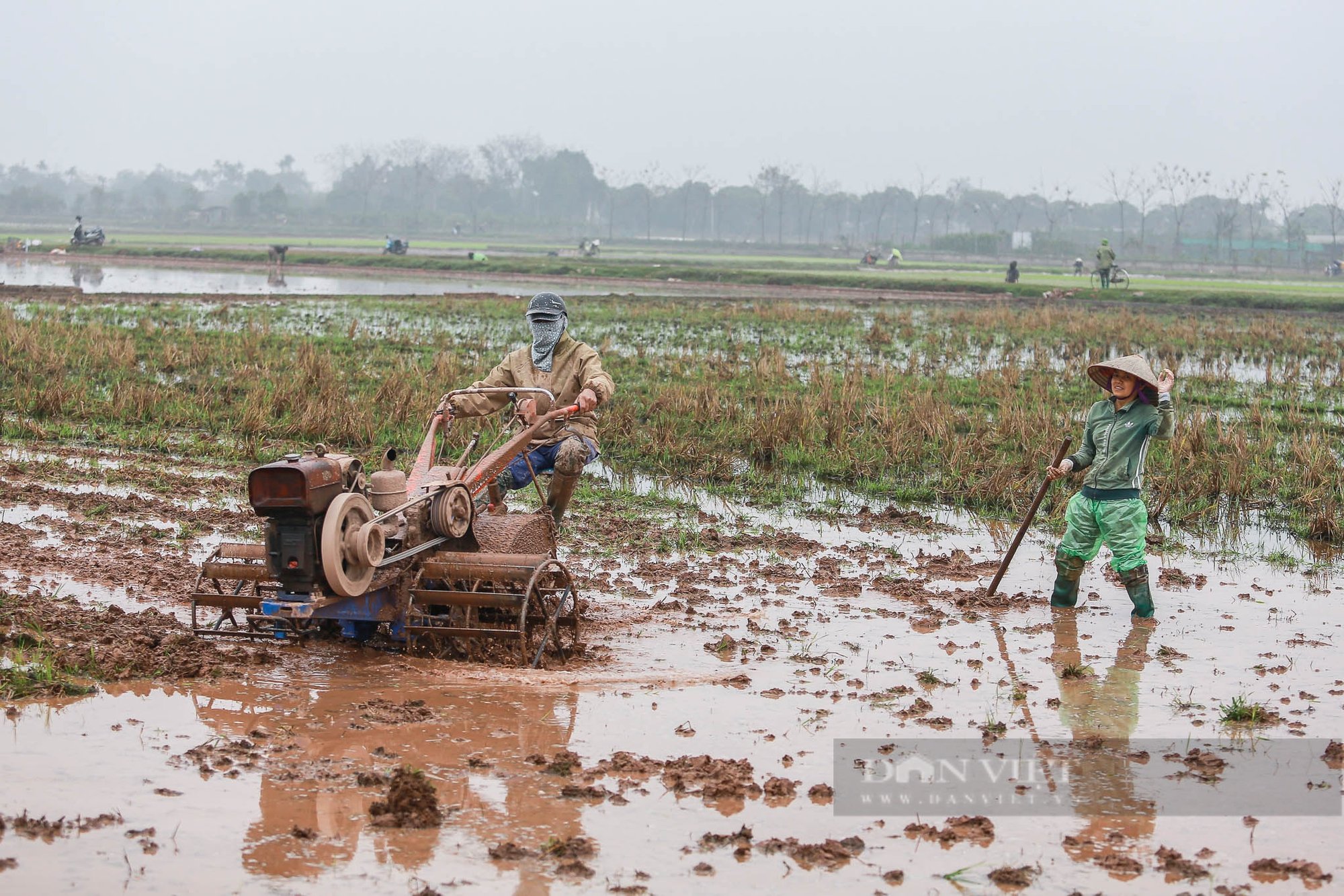 Nông dân ngoại thành Hà Nội mặc áo mưa đi cấy lúa dưới tiết trời lạnh giá- Ảnh 13.