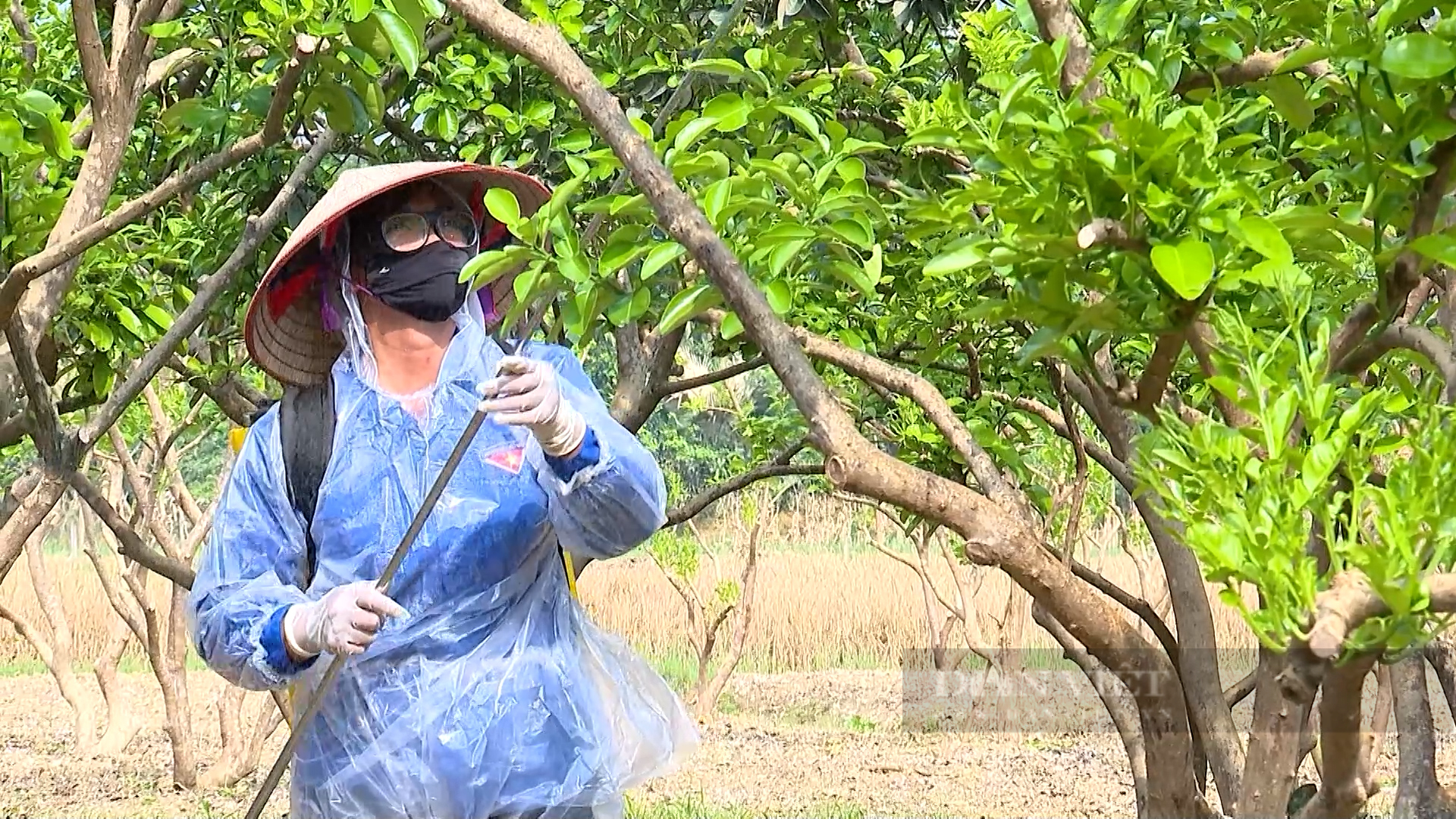 Yên Bái: Đất đã hồi sinh - Ảnh 7.
