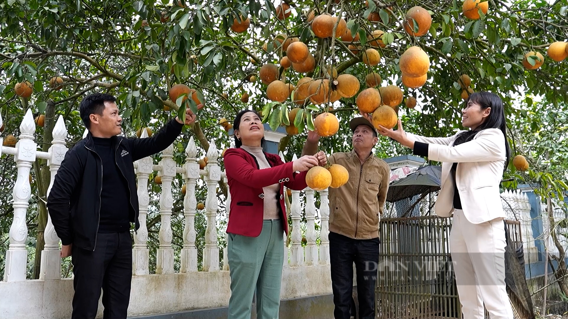 Yên Bái: Đất đã hồi sinh - Ảnh 6.