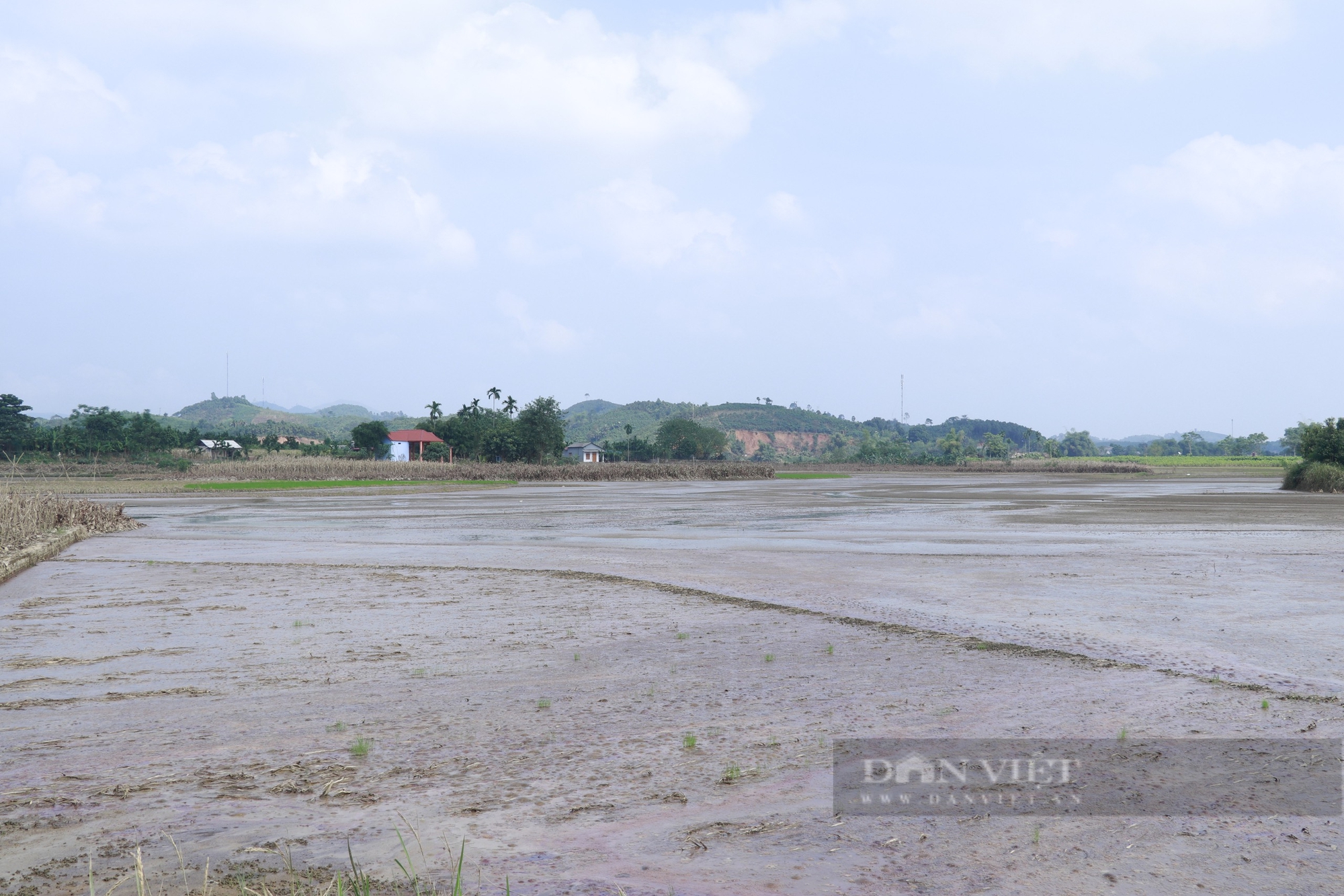 Yên Bái: Đất đã hồi sinh - Ảnh 1.