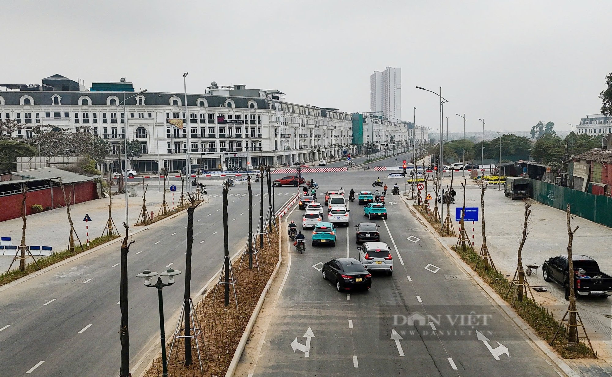 Cây chết trên tuyến đường hơn 700 tỷ đồng, nhà thầu và chủ đầu tư vội vàng nhổ bỏ, gốc không có rễ- Ảnh 2.