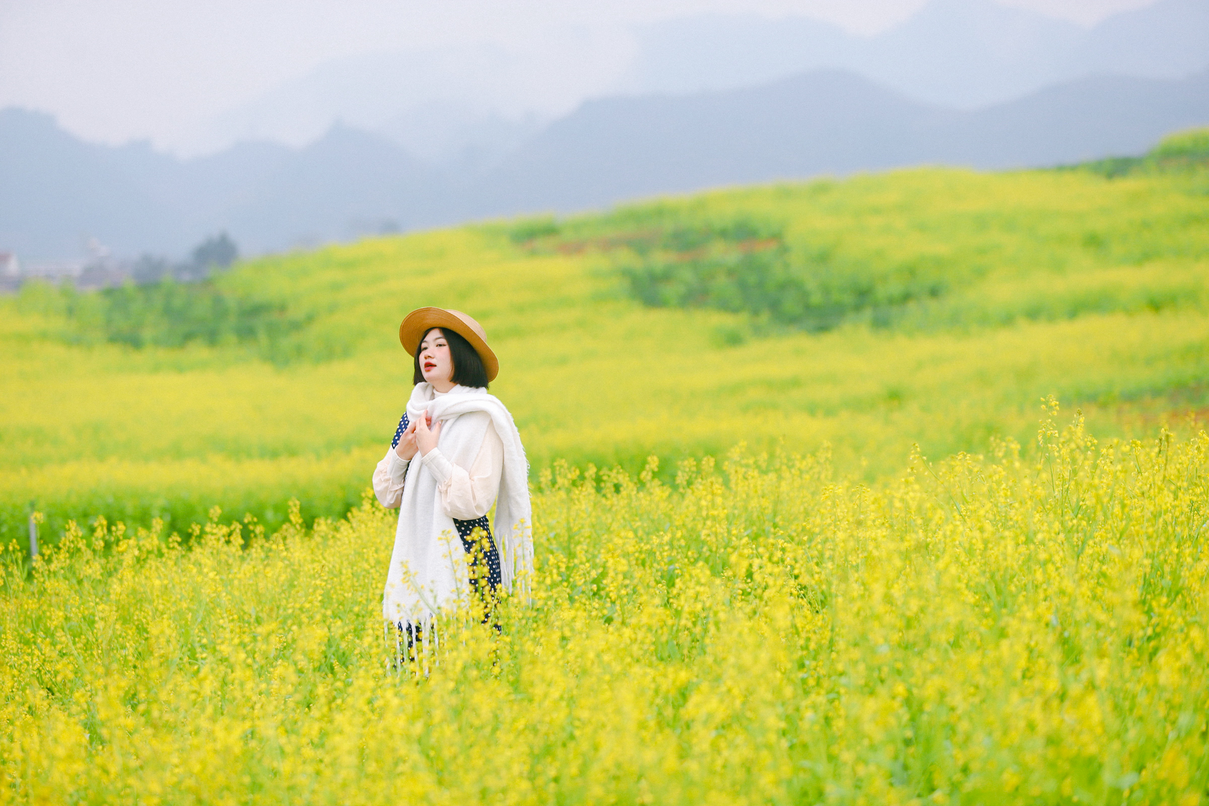 Mộc Châu khoe sắc hoa cải vàng đẹp như chốn thiên đường đảo Jeju  - Ảnh 3.
