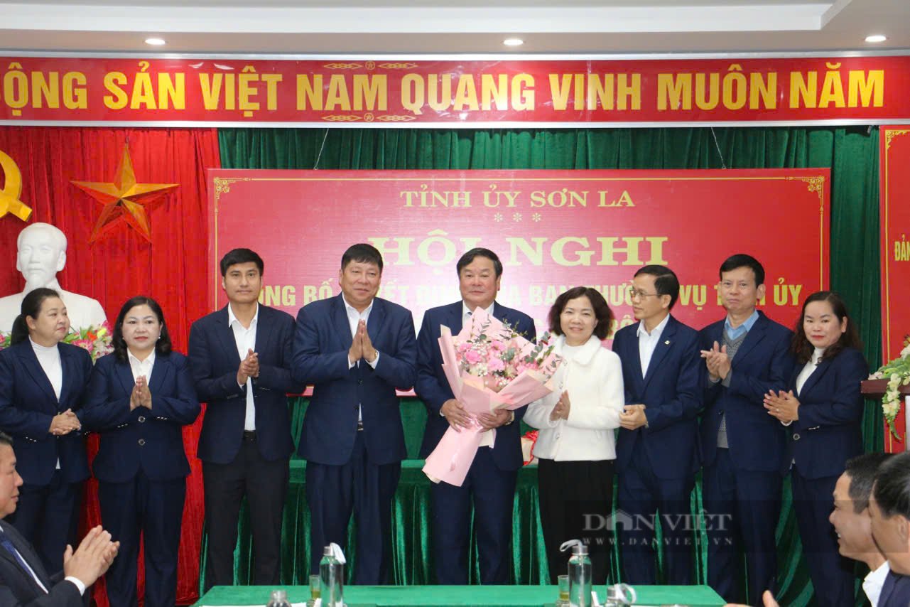 sfq - Ảnh 6.