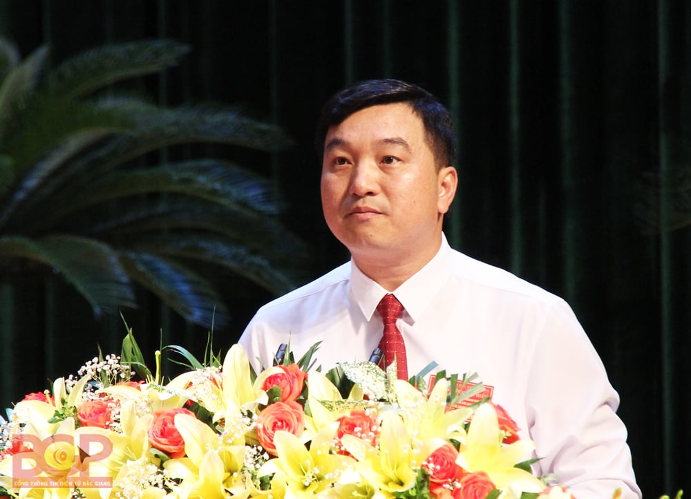 Bí thư Đảng ủy Khối doanh nghiệp tỉnh được giới thiệu để bầu giữ chức Chủ tịch Hội Nông dân tỉnh Bắc Giang - Ảnh 1.