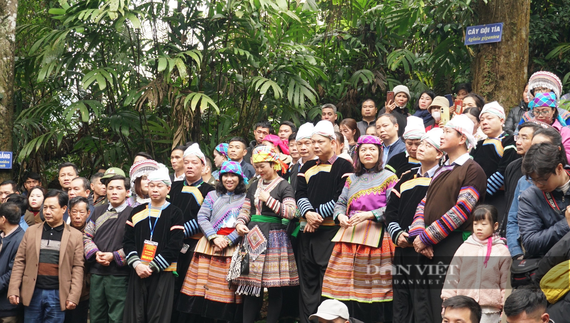 Lời thề thiêng liêng giữa đại ngàn Nà Hẩu - Ảnh 7.