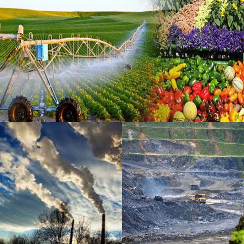 Quy định chức năng, nhiệm vụ, quyền hạn và cơ cấu tổ chức của Bộ Nông nghiệp và Môi trường - Ảnh 1.
