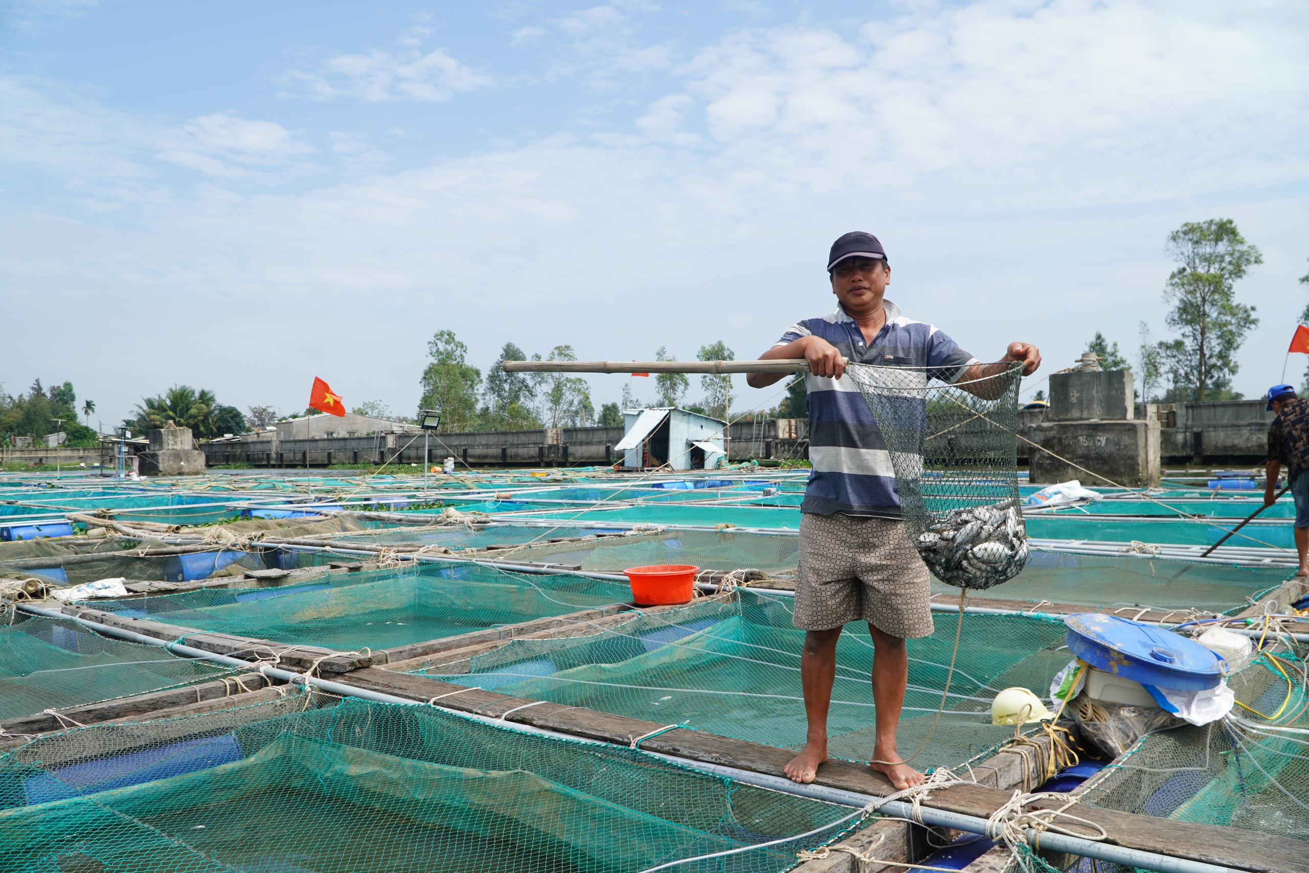 Thủy điện Sông Tranh 2 thông tin về việc cá nuôi chết ở sông Thu Bồn - Ảnh 4.