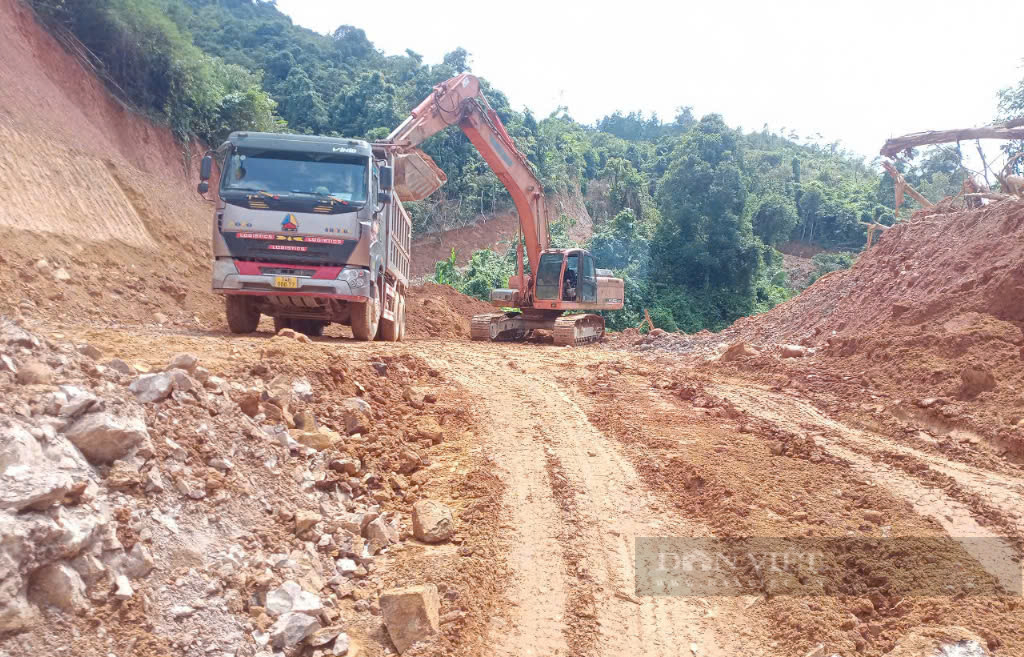 Hạ giá khởi điểm hơn 2 tỷ đồng, 14ha rừng ở Quảng Trị vẫn ế khách- Ảnh 4.