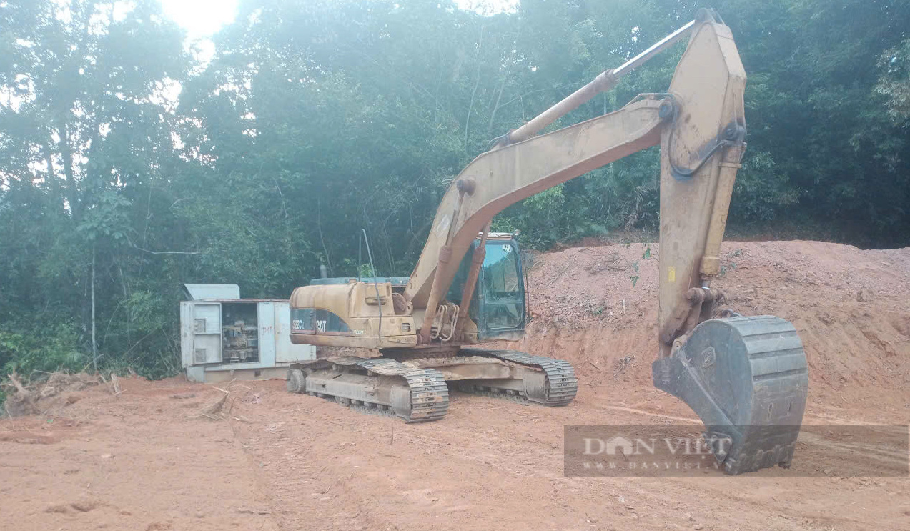 Hạ giá khởi điểm hơn 2 tỷ đồng, 14ha rừng ở Quảng Trị vẫn ế khách- Ảnh 3.