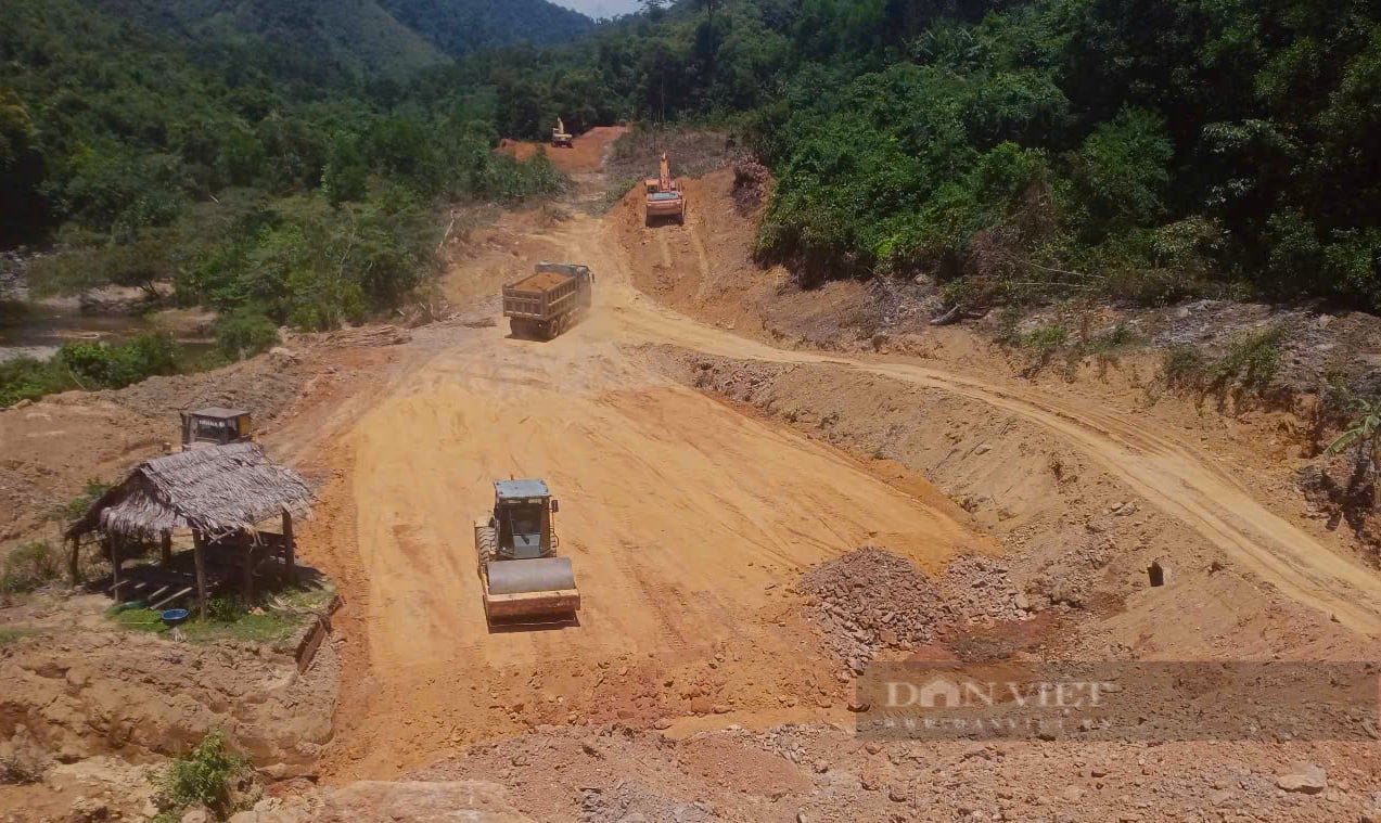 Hạ giá khởi điểm hơn 2 tỷ đồng, 14ha rừng ở Quảng Trị vẫn ế khách- Ảnh 2.