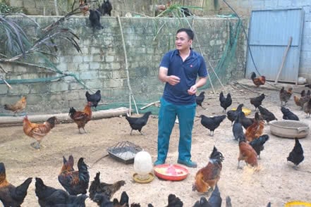 Nuôi la liệt đàn gà đen đặc sản, chàng trai dân tộc Tày ở Hà Giang giúp cả Bản Ké làm giàu - Ảnh 1.
