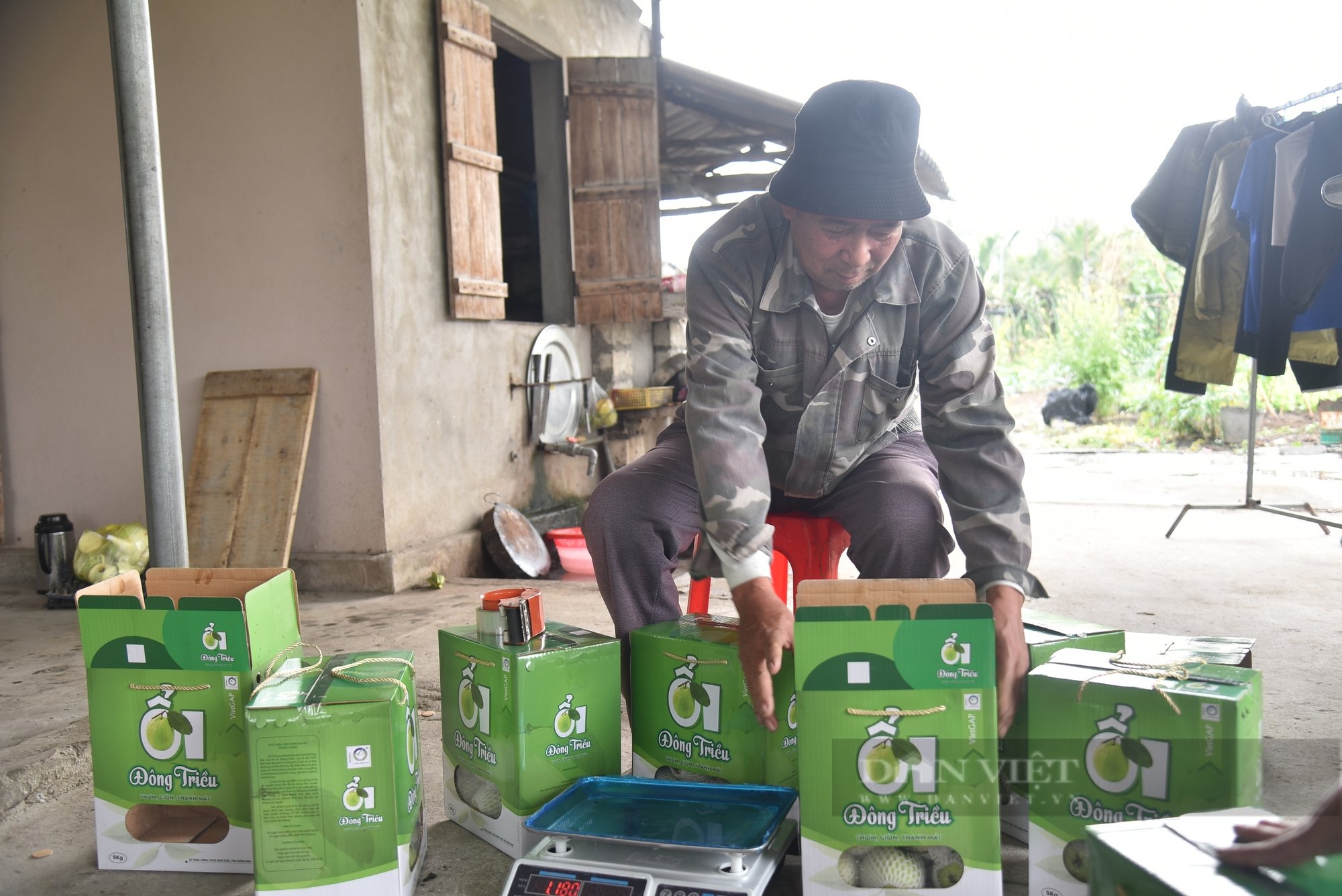Lão nông trồng ổi VietGAP, nuôi gà VietGAP, không lo ế hàng- Ảnh 1.