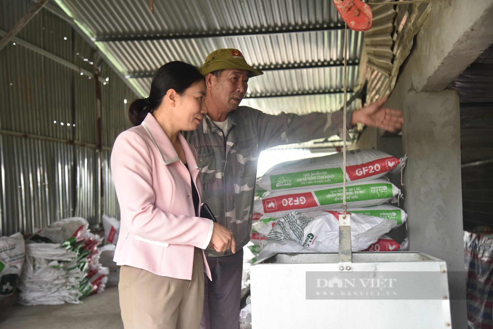 Lão nông trồng ổi VietGAP, nuôi gà VietGAP, không lo ế hàng- Ảnh 3.