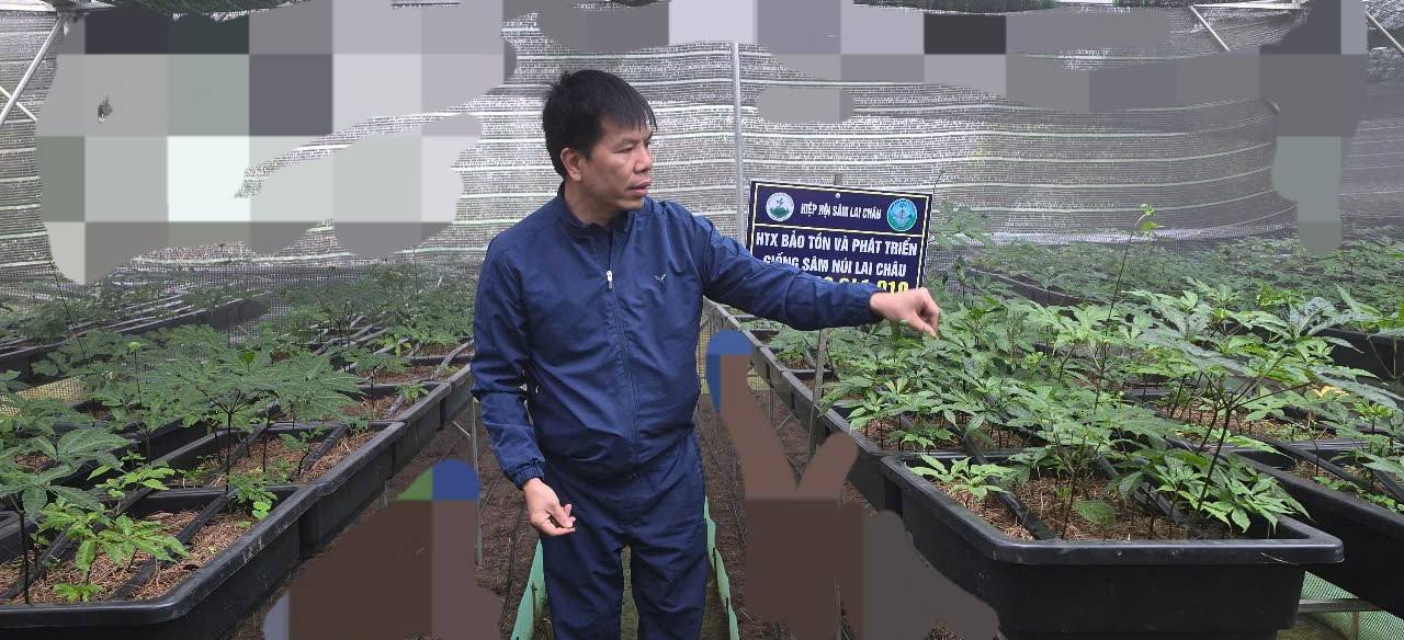 57 trong nông nghiệp: 20 năm nghiệm thu gần 300 giống lúa nhưng có 15 giống được ứng dụng thực tiễn  (Bài 2) - Ảnh 4.