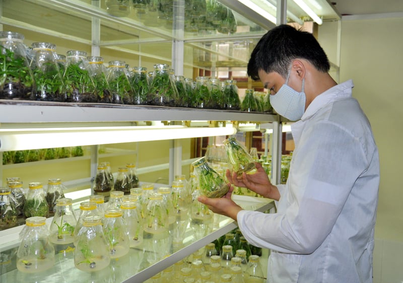 Nghị quyết 193 của Quốc hội: Nhiều điểm đột phá,  - Ảnh 1.