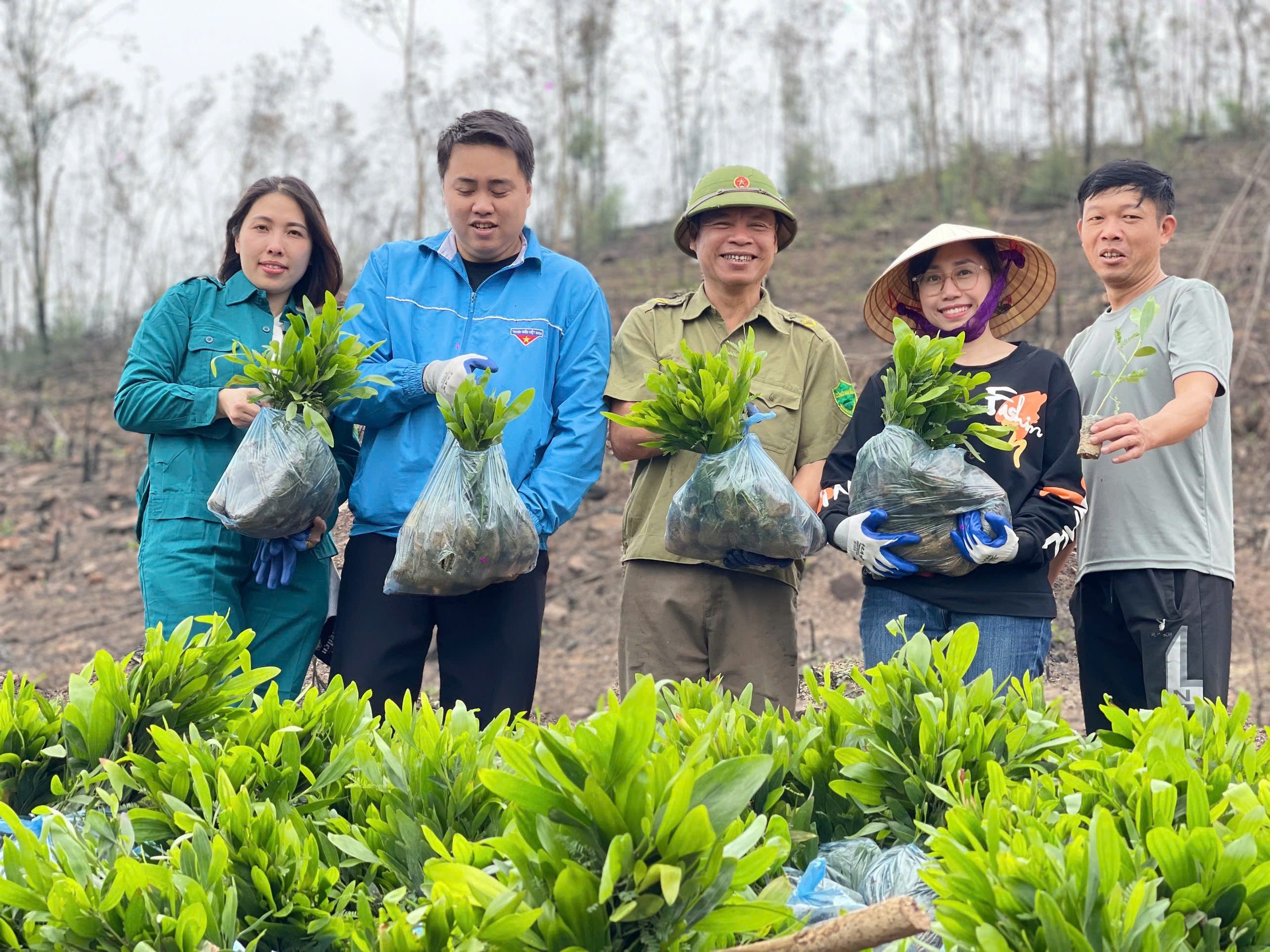 Hội Nông dân phường Thuỷ Đường tham gia trồng cây góp phần phủ xanh núi Sơn Đào - Ảnh 1.