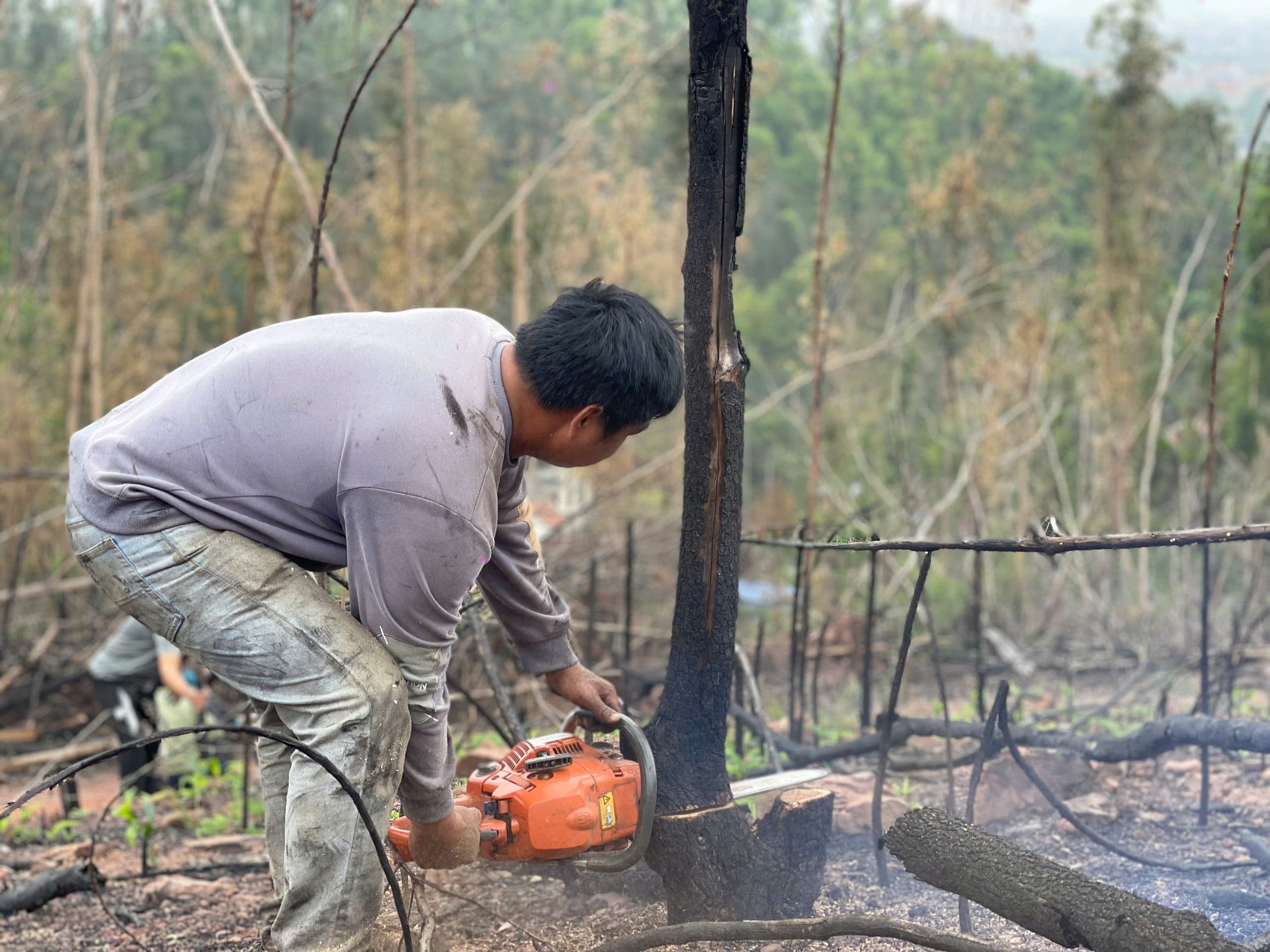 Hội Nông dân phường Thuỷ Đường tham gia trồng cây góp phần phủ xanh núi Sơn Đào - Ảnh 10.