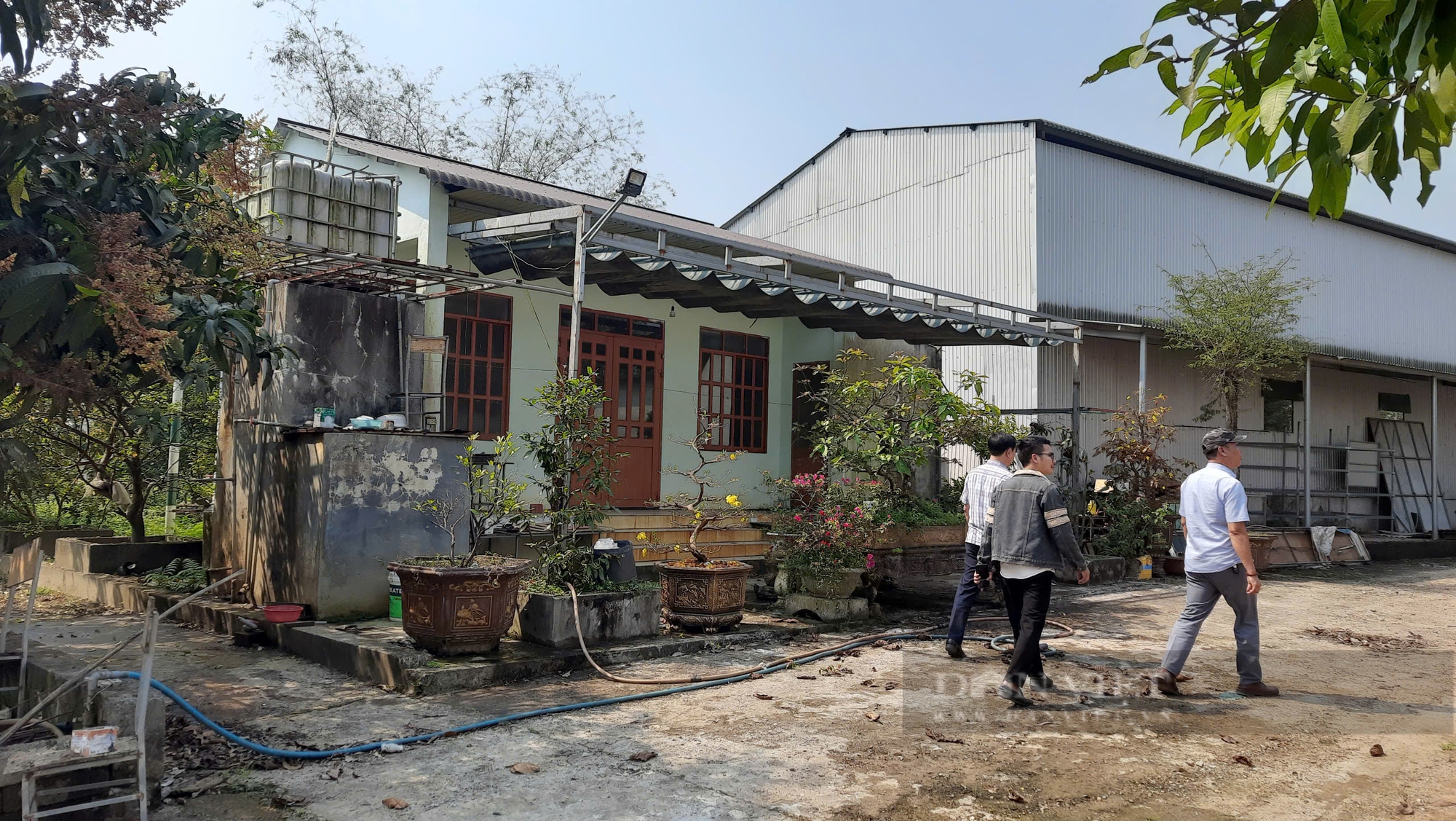 Vụ đất công bị doanh nghiệp sử dụng trái phép, xã “làm ngơ” ở Quảng Trị: Yêu cầu kiểm tra, xử lý nghiêm - Ảnh 3.