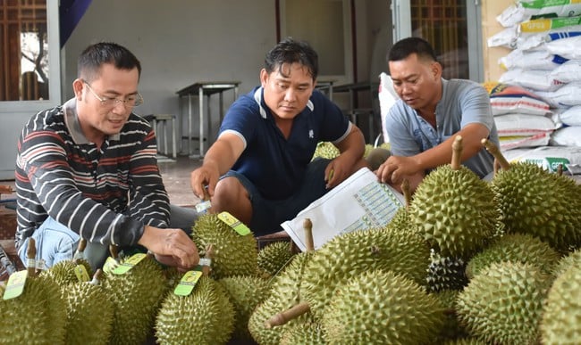 Bộ trưởng Đỗ Đức Duy:  - Ảnh 2.