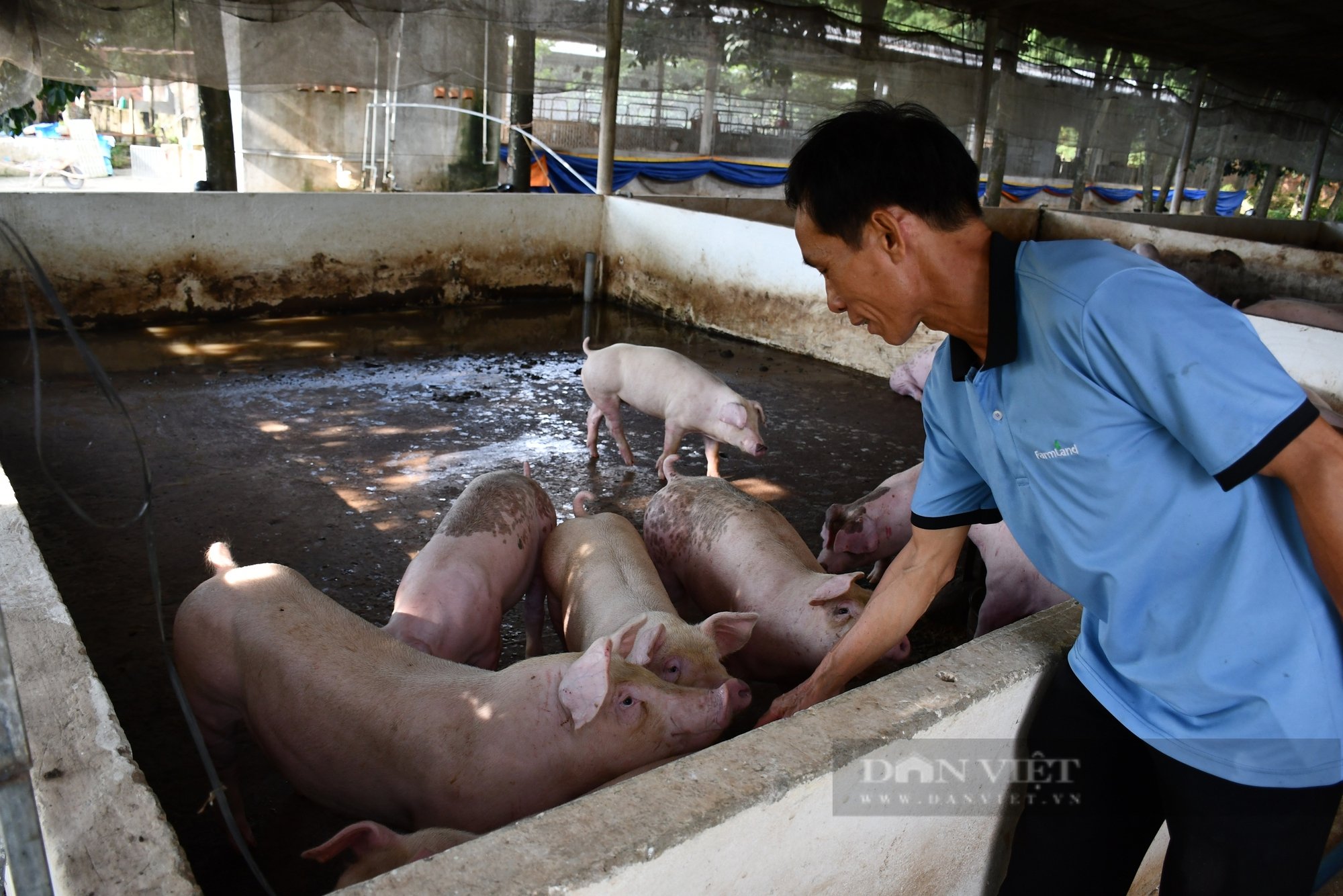 Anh Lâm Văn Giàng - Nông dân Việt Nam xuất sắc năm 2024: "Bệ phóng cho người nông dân tiếp cận thời đại 4.0" - Ảnh 4.