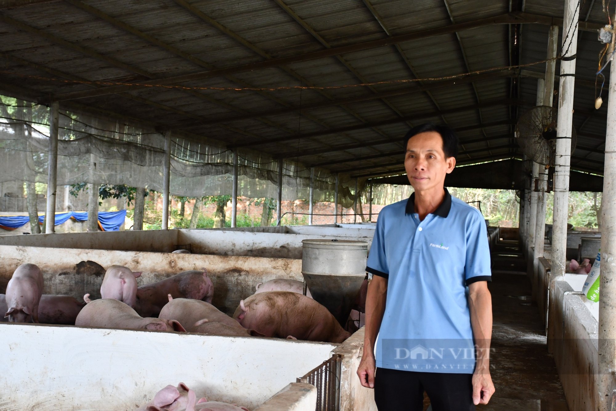 Anh Lâm Văn Giàng - Nông dân Việt Nam xuất sắc năm 2024: "Bệ phóng cho người nông dân tiếp cận thời đại 4.0" - Ảnh 2.