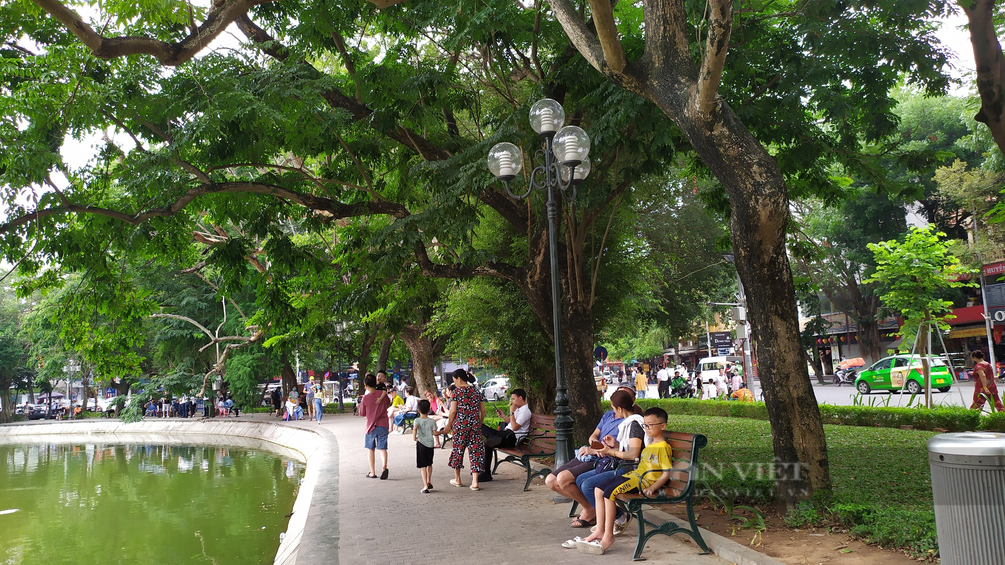 Ai đấu giá thành công lô gỗ sưa 154 tỷ đồng ở Hà Nội? - Ảnh 2.