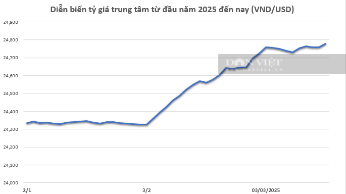 Tỷ giá USD "dậy sóng" và hành động của Ngân hàng Nhà nước - Ảnh 1.