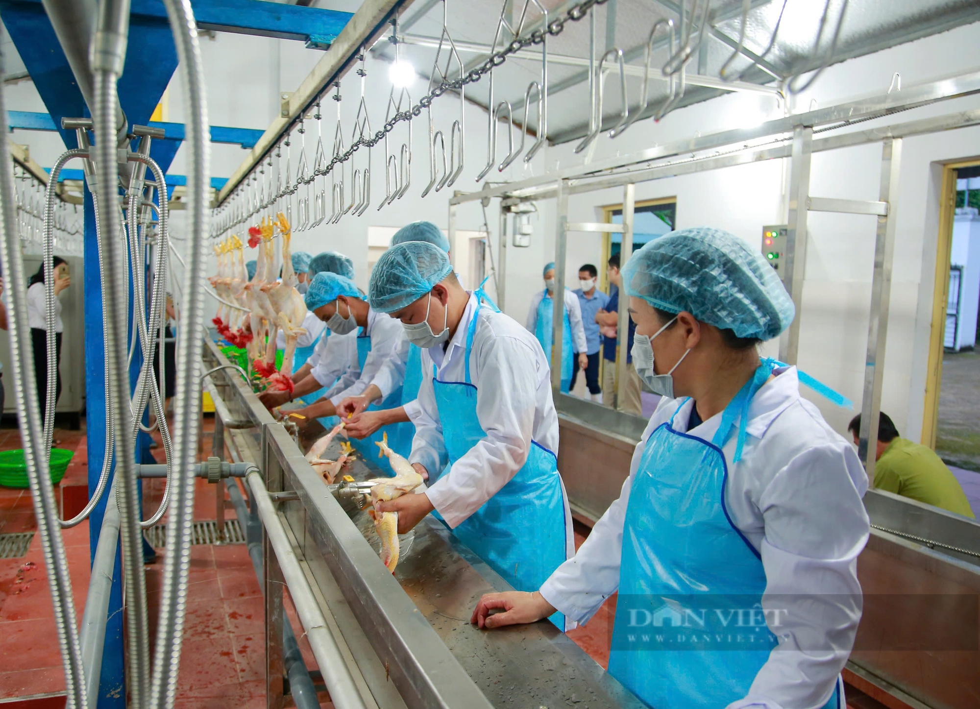 Chuyển đổi số ở huyện nông thôn mới nâng cao Tiên Yên- Ảnh 13.