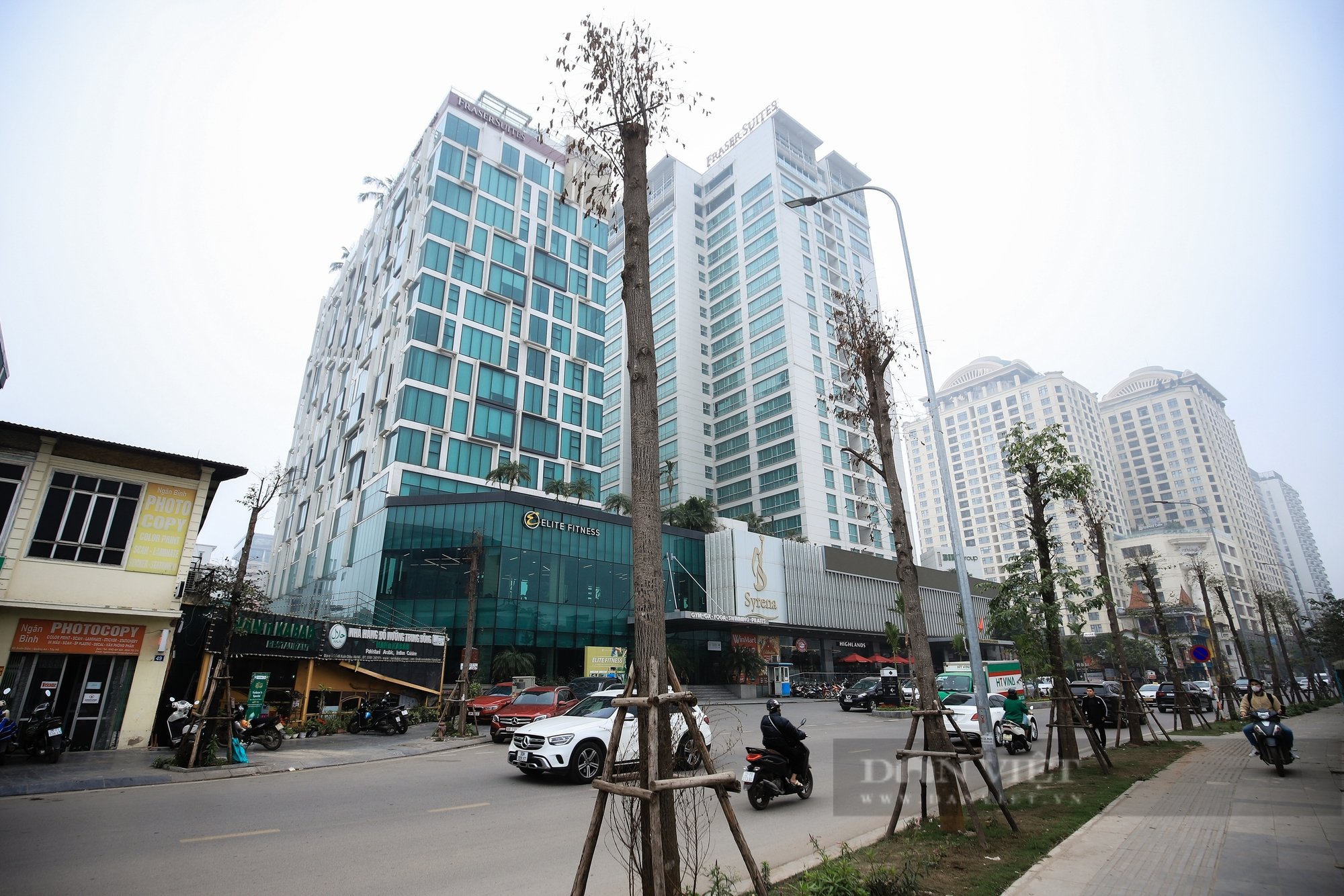 Loạt cây xanh khô héo, có dấu hiệu chết khô trên tuyến đường Xuân Diệu- Ảnh 2.