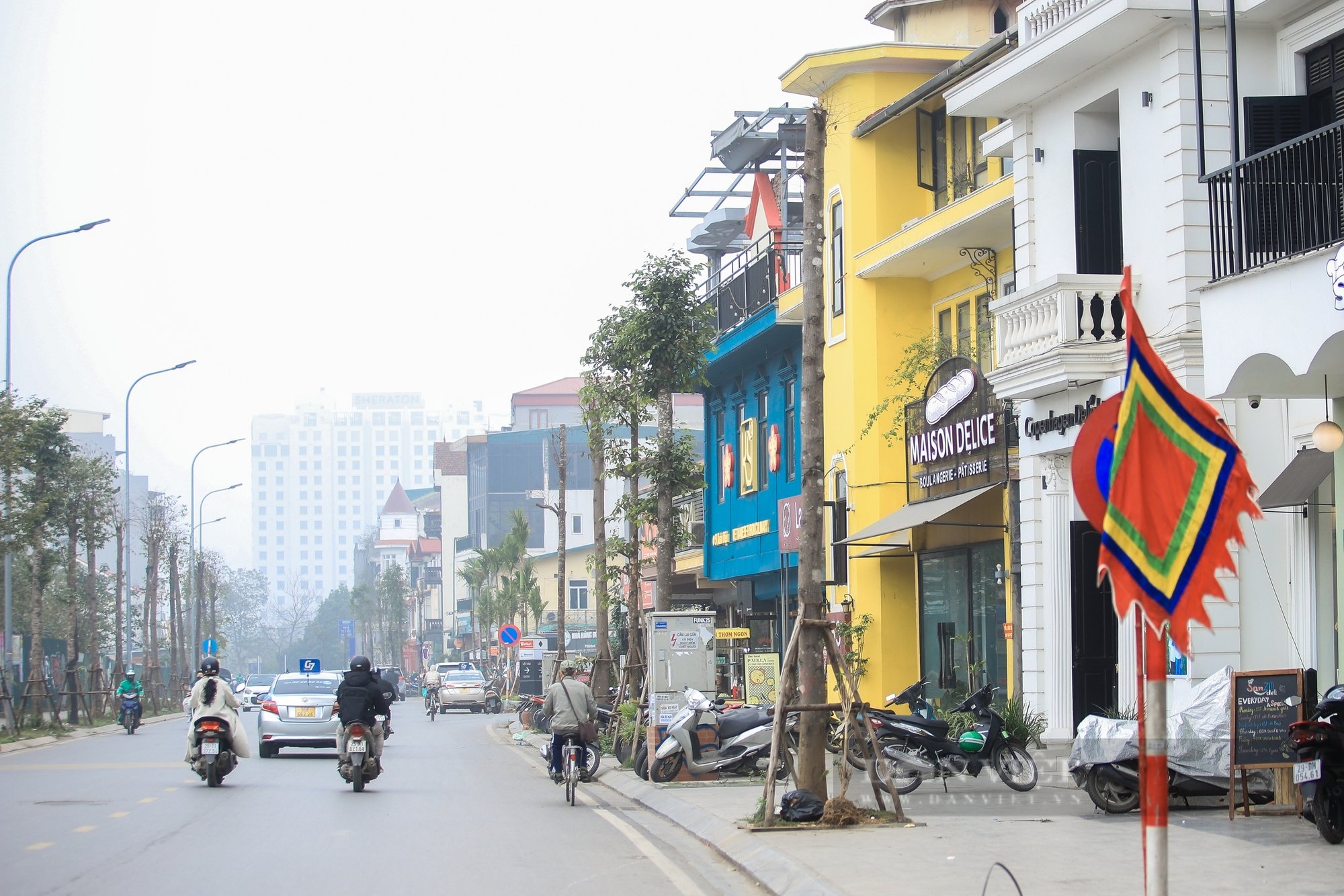 Loạt cây xanh khô héo, có dấu hiệu chết khô trên tuyến đường Xuân Diệu- Ảnh 6.
