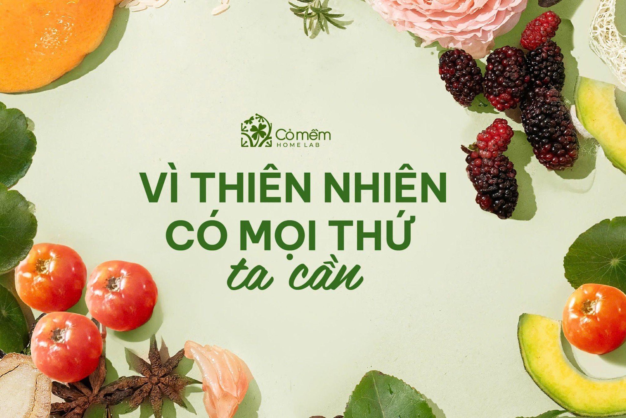 Cỏ Mềm ra mắt mỹ phẩm đường uống - Ảnh 1.
