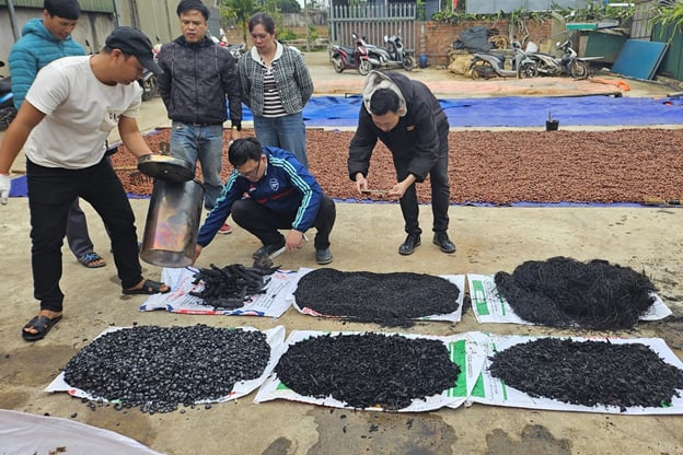 Biến phế phẩm nông nghiệp thành “vàng đen” - Ảnh 1.