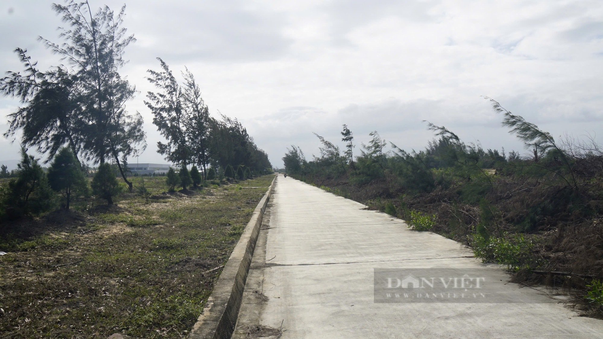 Khu đất hơn 400ha doanh nghiệp Trung Quốc thuê ở Bình Định, 18 năm chỉ thu hút 2 nhà đầu tư- Ảnh 4.