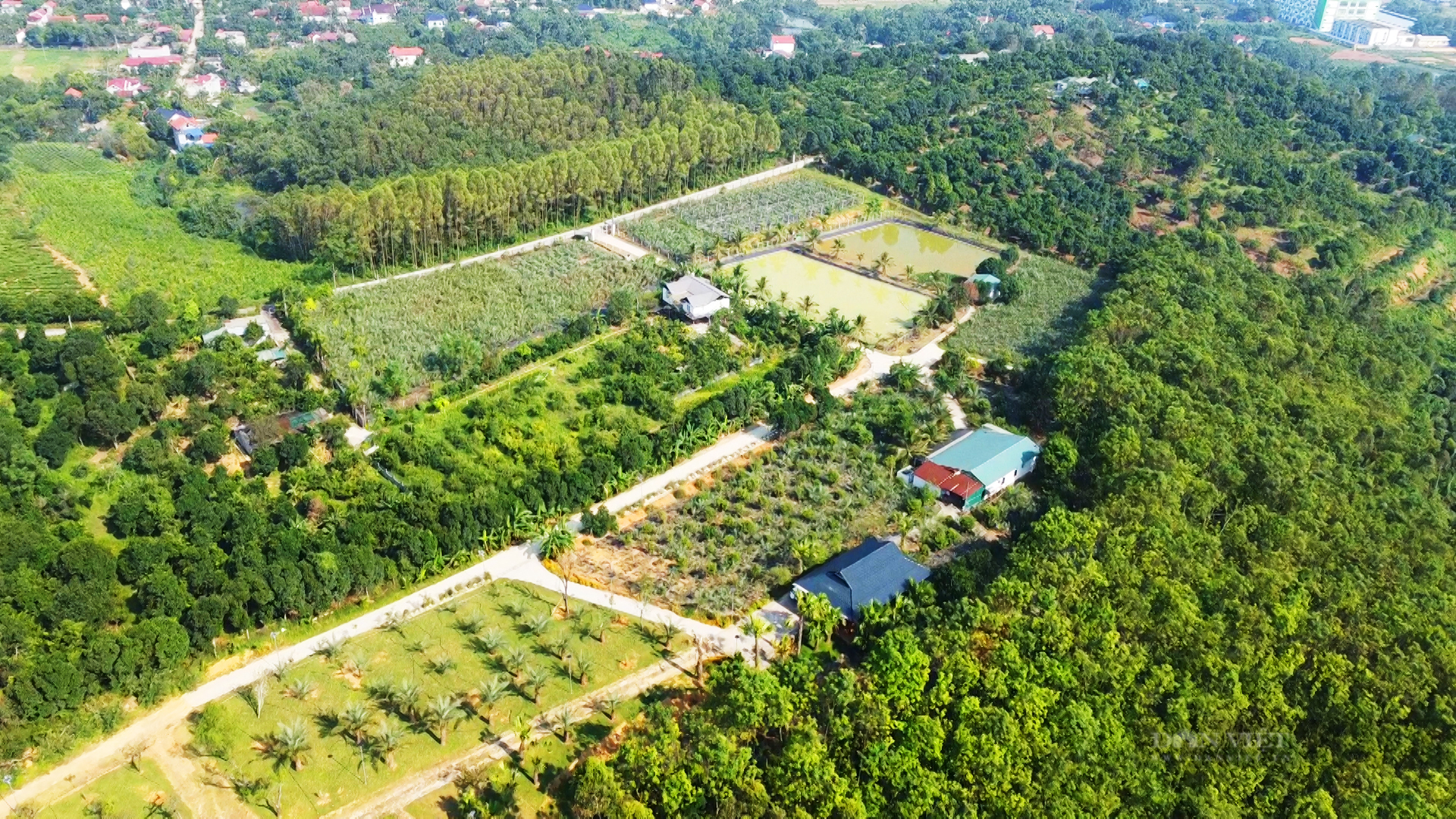 Nông dân xuất sắc Lê Mạnh Cường: Tôi muốn xây dựng hình ảnh người nông dân mới, giàu có, không chân lấm tay bùn - Ảnh 7.