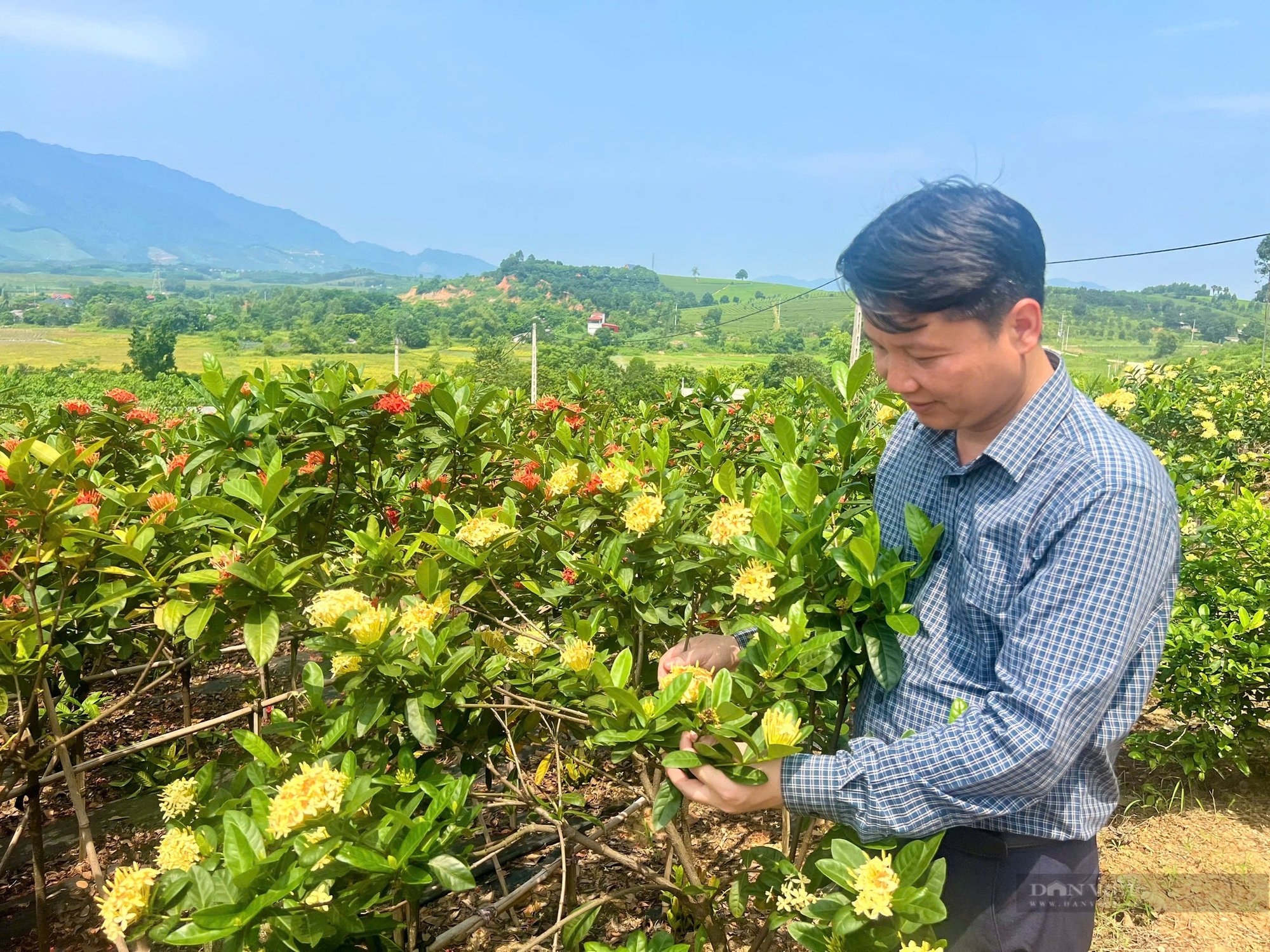 Nông dân xuất sắc Lê Mạnh Cường: Tôi muốn xây dựng hình ảnh người nông dân mới, giàu có, không chân lấm tay bùn - Ảnh 6.