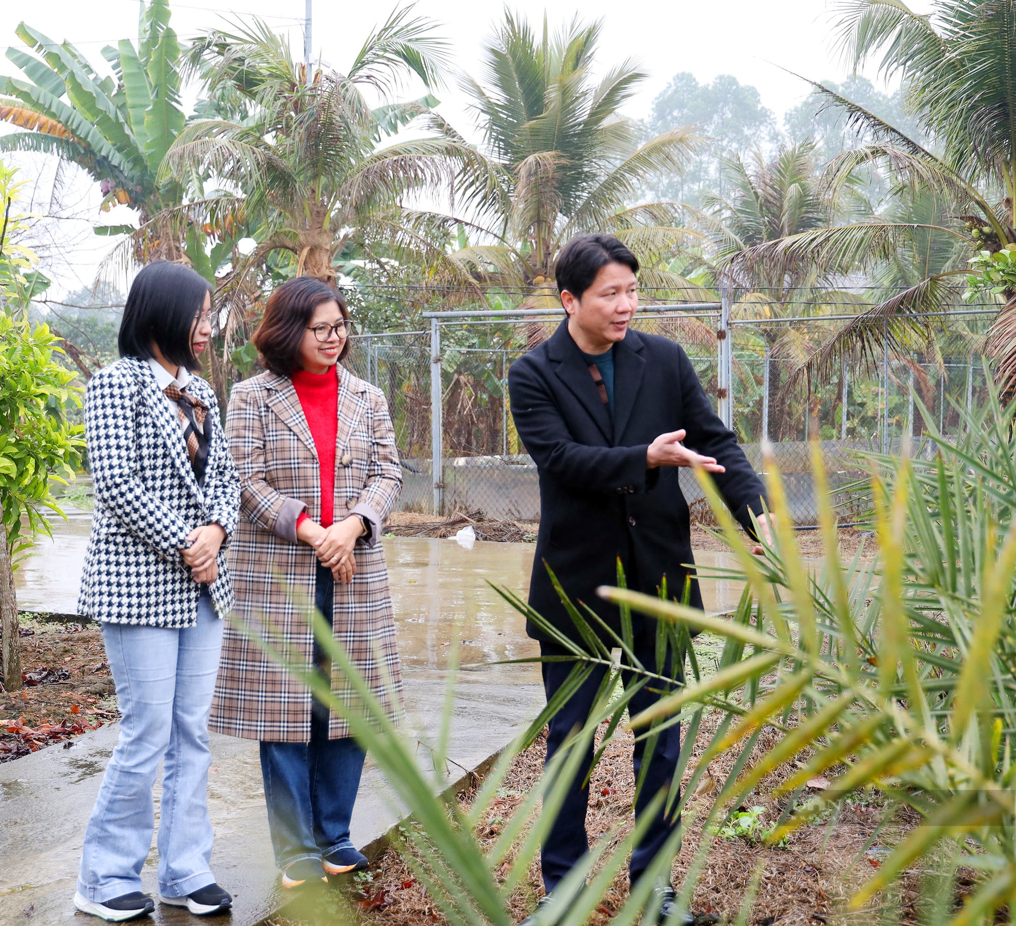 Nông dân xuất sắc Lê Mạnh Cường: Tôi muốn xây dựng hình ảnh người nông dân mới, giàu có, không chân lấm tay bùn - Ảnh 12.