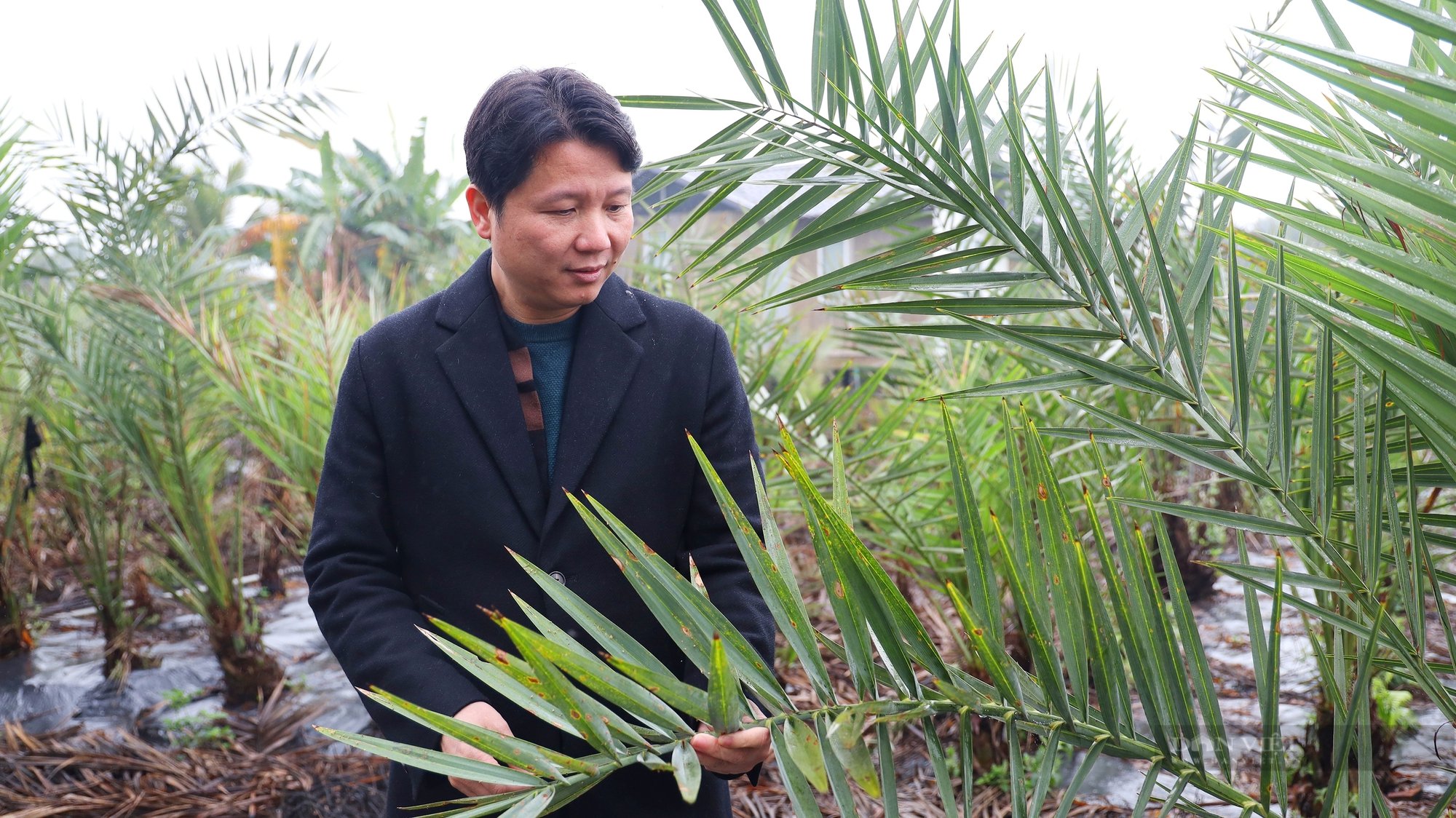 Nông dân xuất sắc Lê Mạnh Cường: Tôi muốn xây dựng hình ảnh người nông dân mới, giàu có, không chân lấm tay bùn - Ảnh 8.