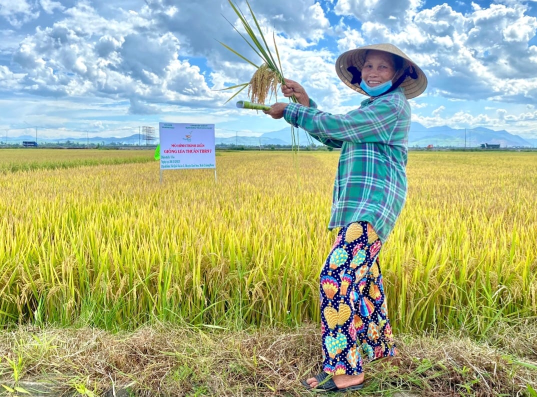 Sau 28 năm tái lập tỉnh, Quảng Nam từ tỉnh thuần nông đến phát triển kinh tế ngỡ ngàng- Ảnh 2.