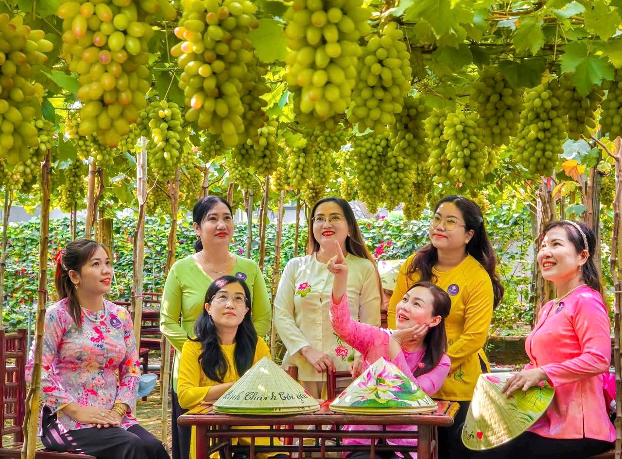 Biến mảnh ruộng hoang thành vườn nho lúc lỉu trái, du khách “hái ra tiền” cho anh nông dân Sài thành - Ảnh 5.