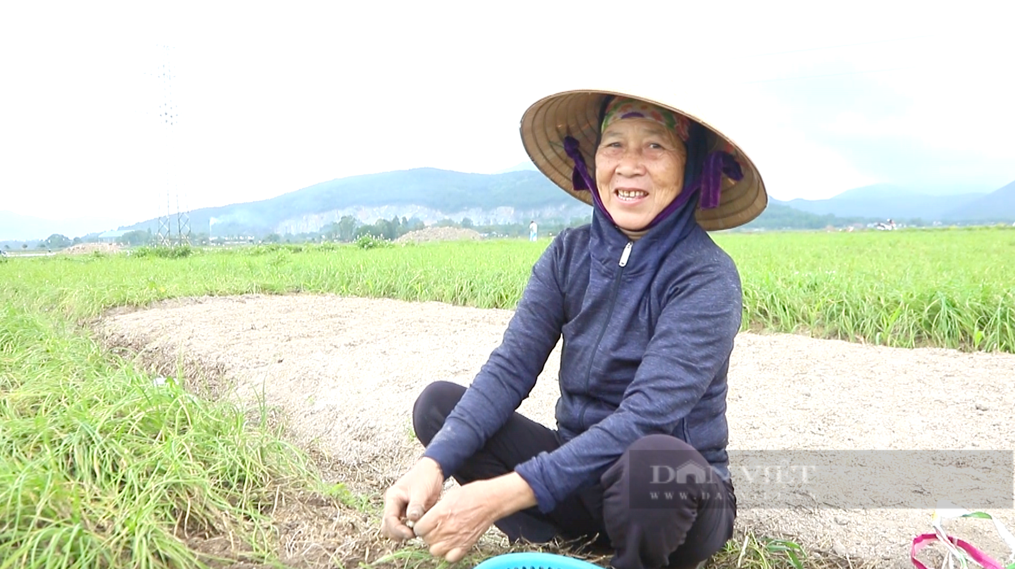 Nông dân Hà Tĩnh trồng củ làm ấm cơ thể ngày mưa gió trên đất hoang, thu nhập lại gấp 2-3 lần cây trồng khác - Ảnh 3.