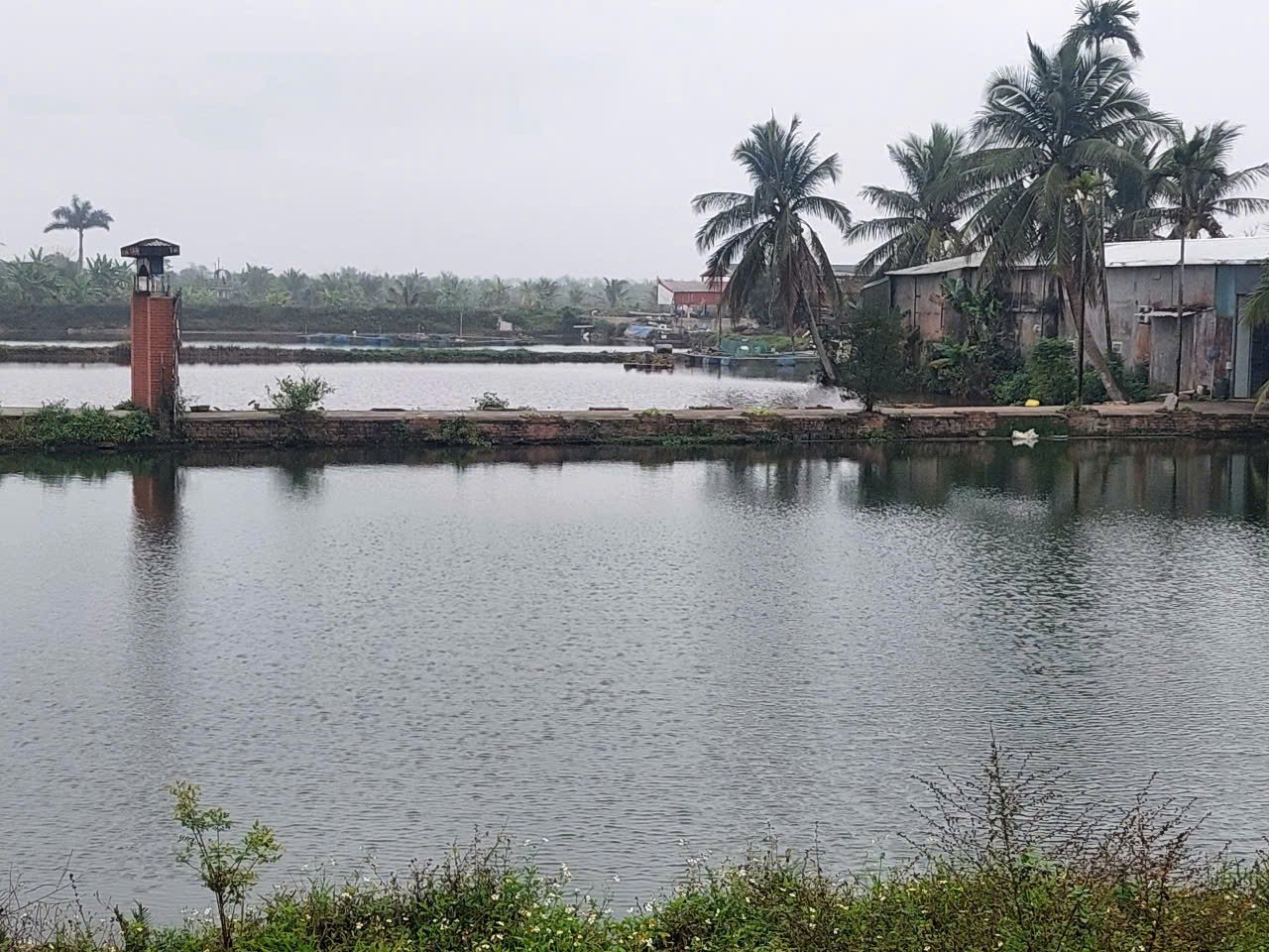 Nông dân Hải Phòng tu sửa ao nuôi,  chuẩn bị con giống cho vụ nuôi trồng thủy sản mới - Ảnh 2.